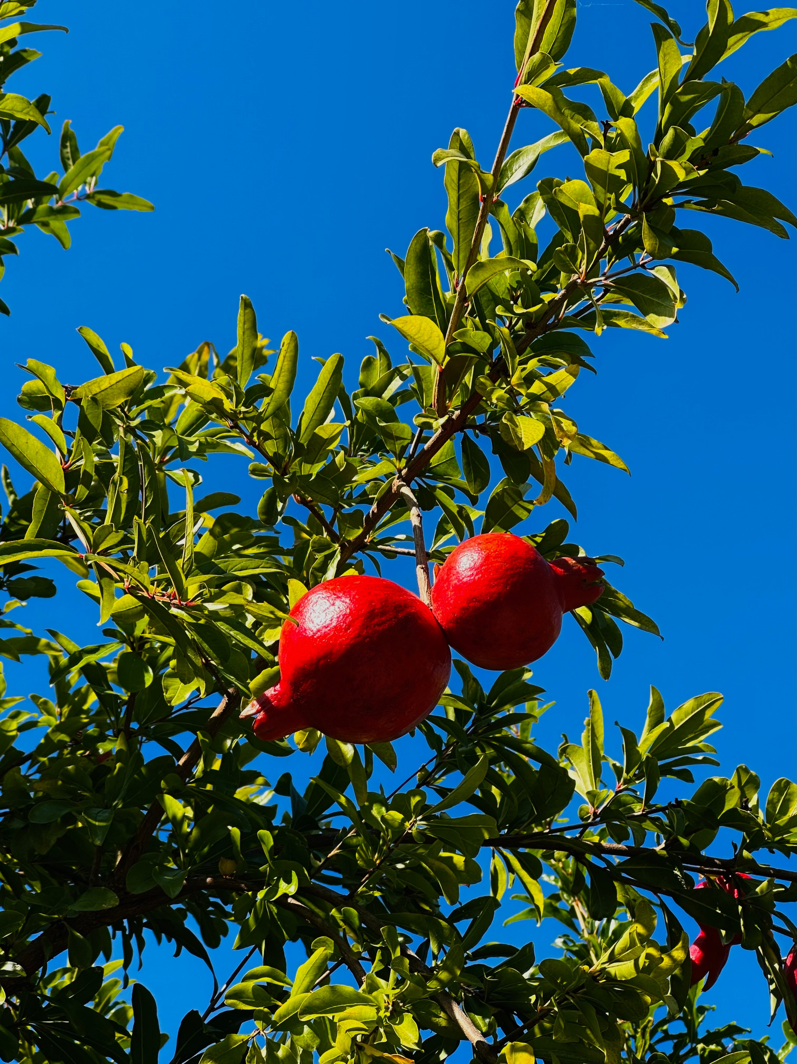 EXHIBITION. Репортажный и интерьерный фотограф, фотохудожник