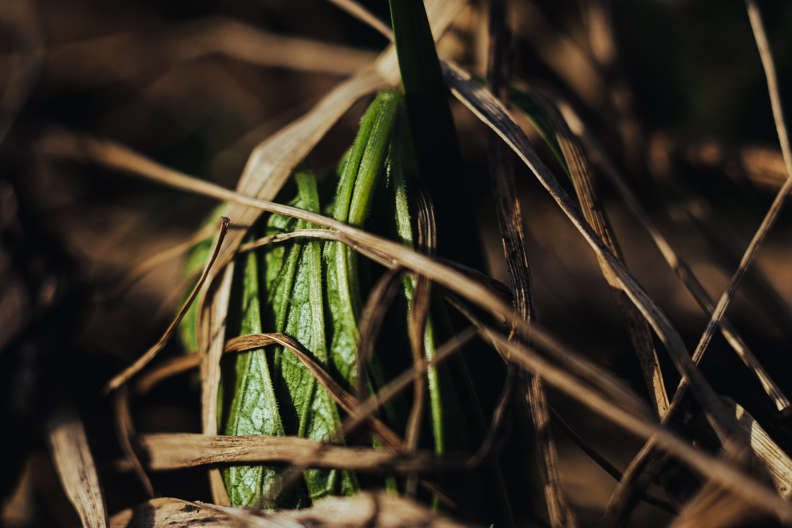 EXHIBITION. Репортажный и интерьерный фотограф, фотохудожник