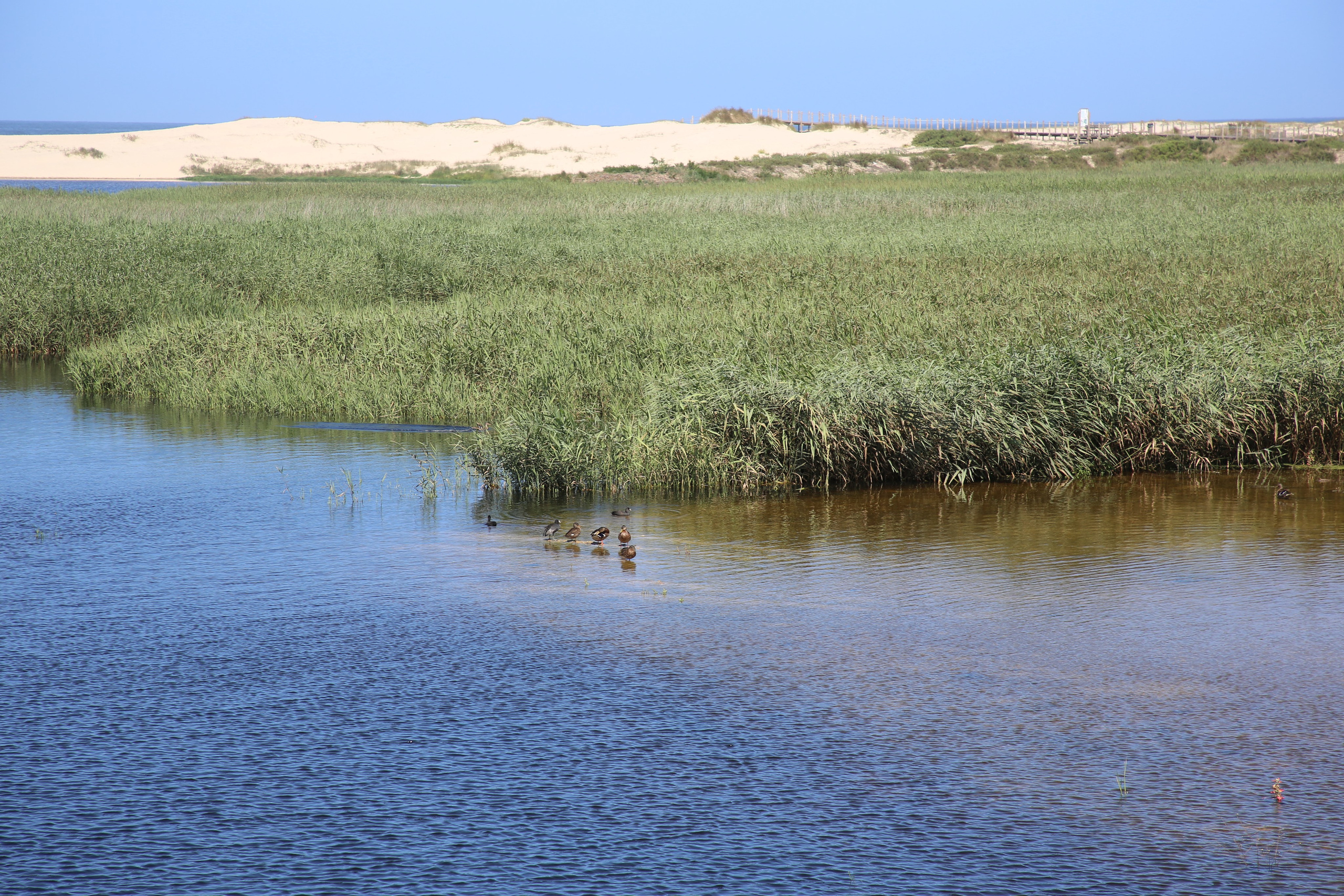 Esmoriz, Portugal. Andrey Filippov Photographer
