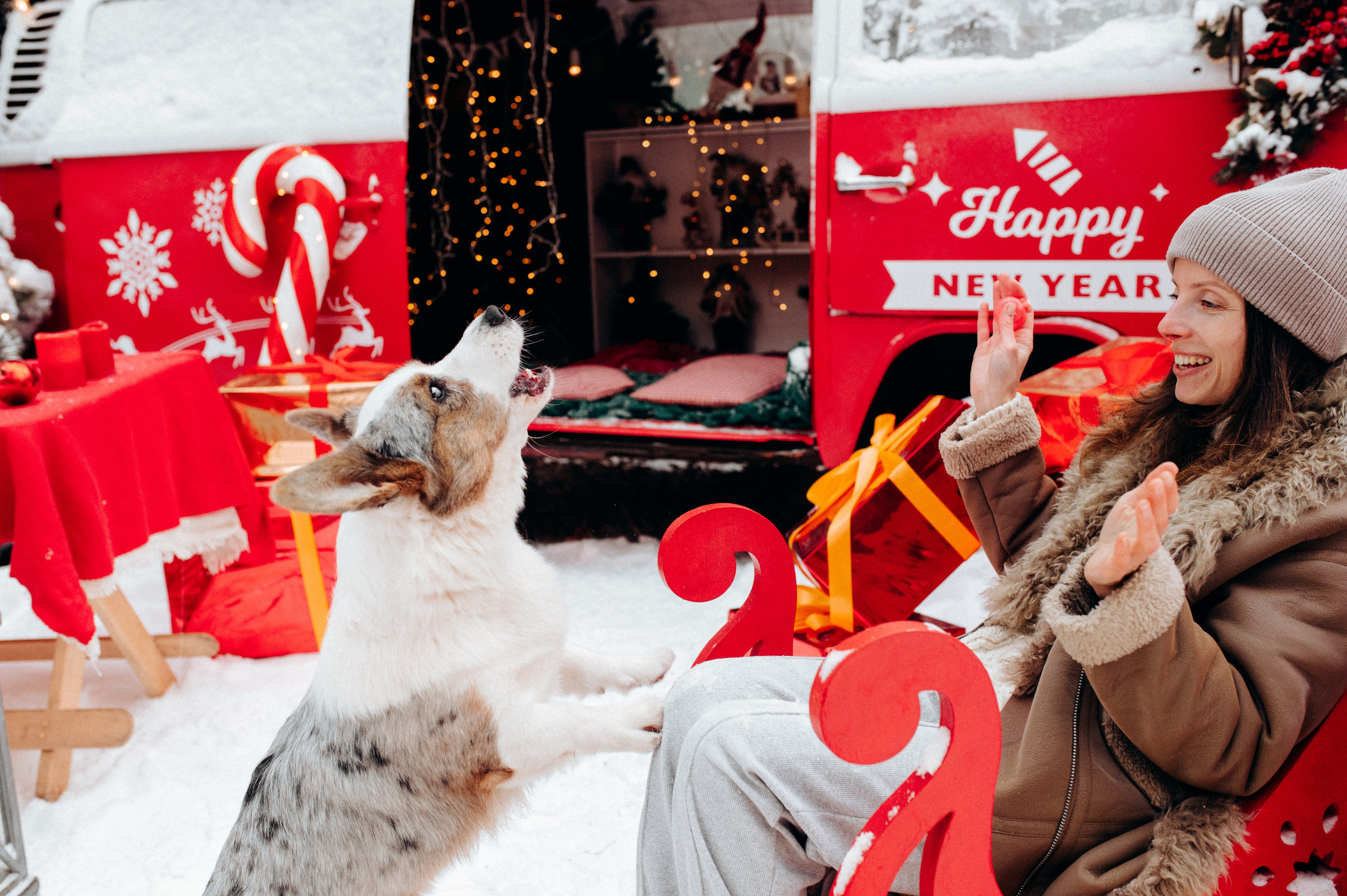 Маша и Дэф. Фотограф анималист в Москве Ольга Агушева