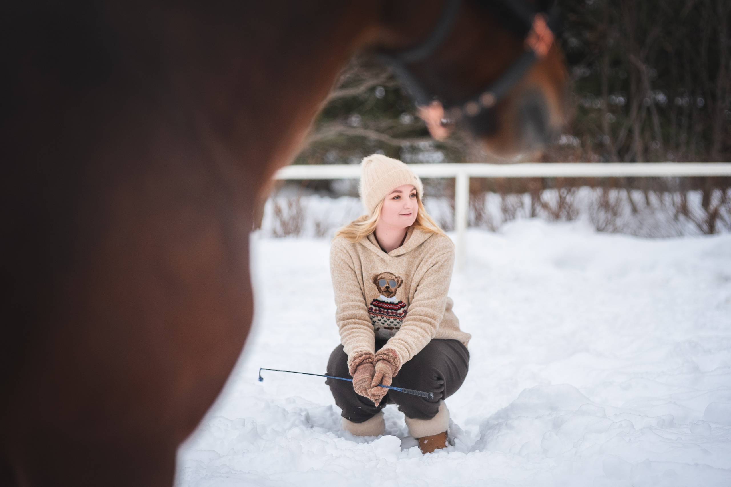 Новогодний Волконский. Конный фотограф Куракина Дарья • Фотосессии с лошадьми