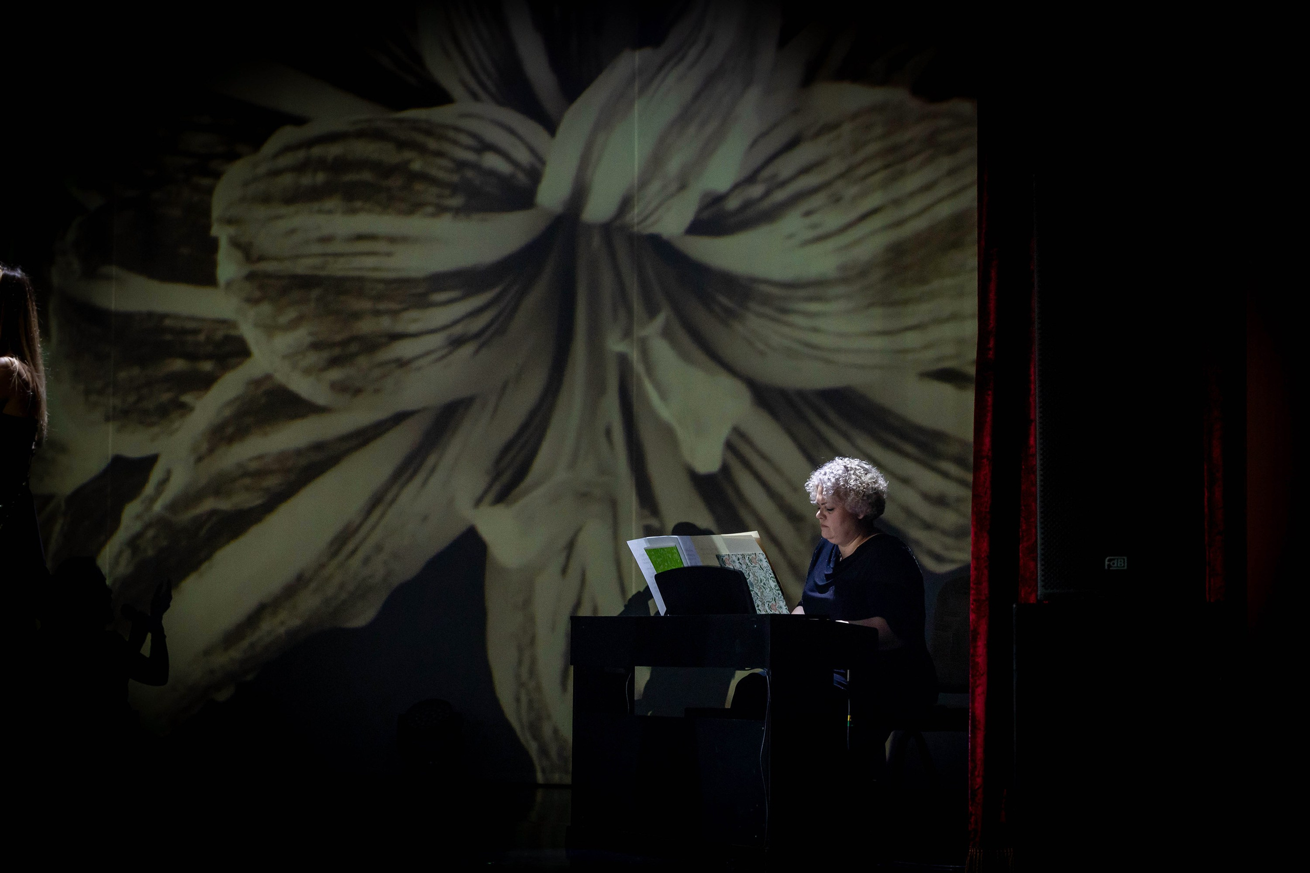 Репортажная съёмка. Фотограф-анималист в Омске Екатерина Маричева