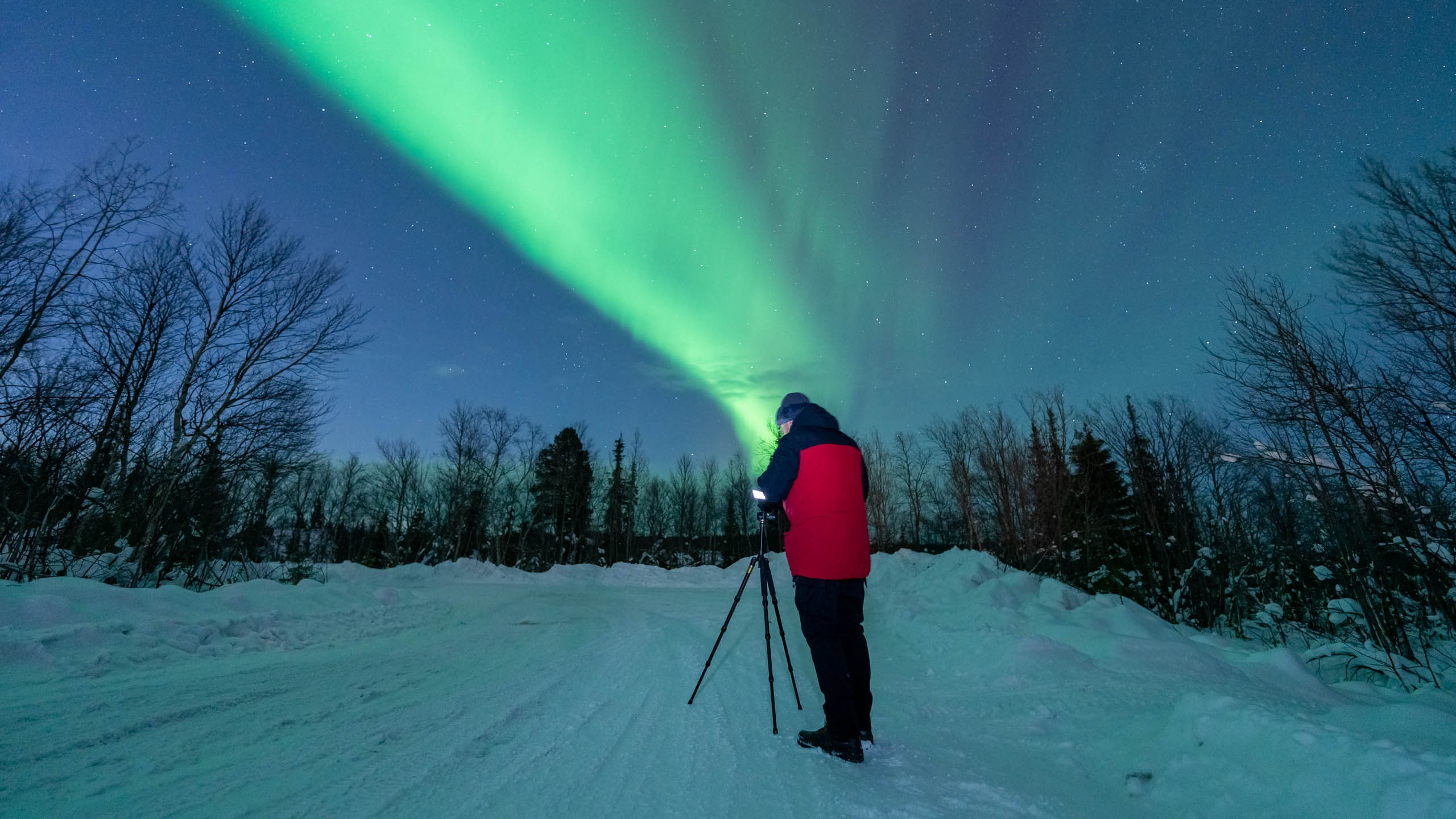 Мурманск, северное сияние, aurora borealis