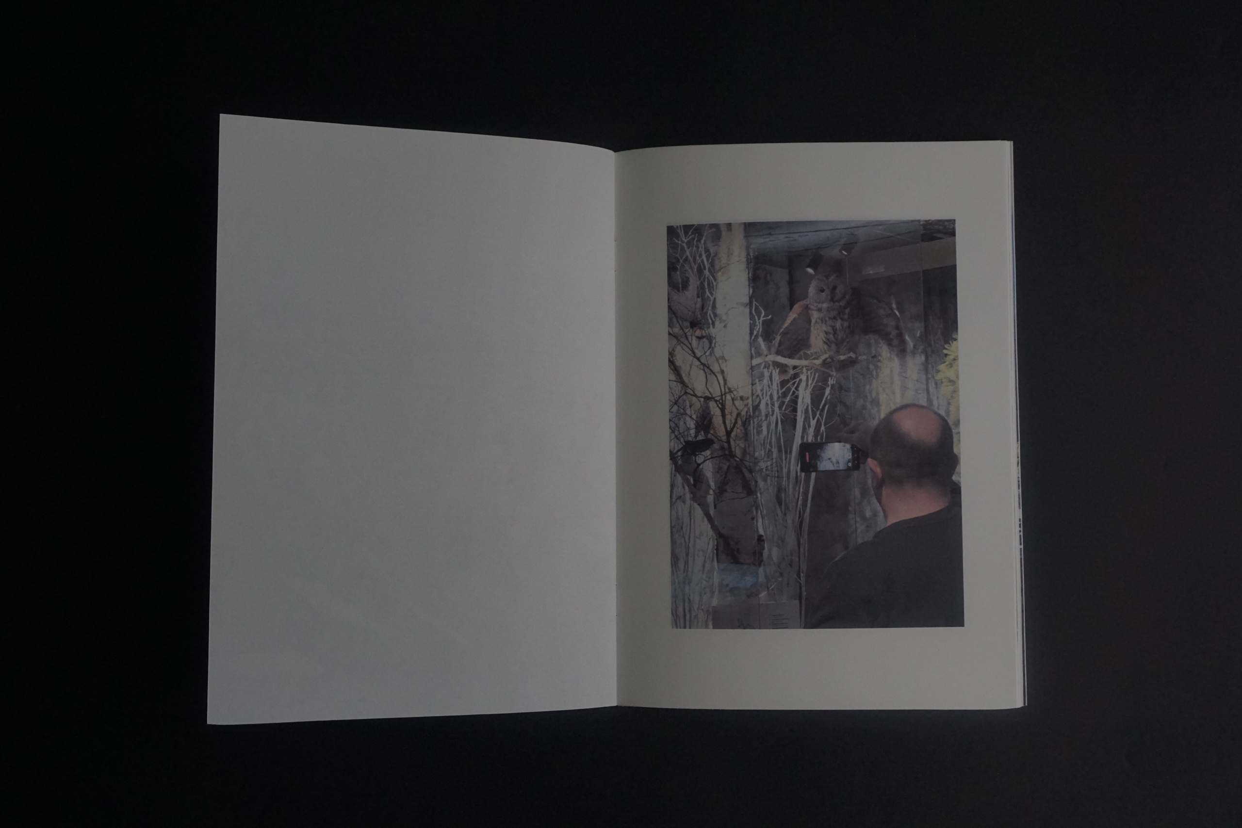 Overview. Anastasia Maryasova