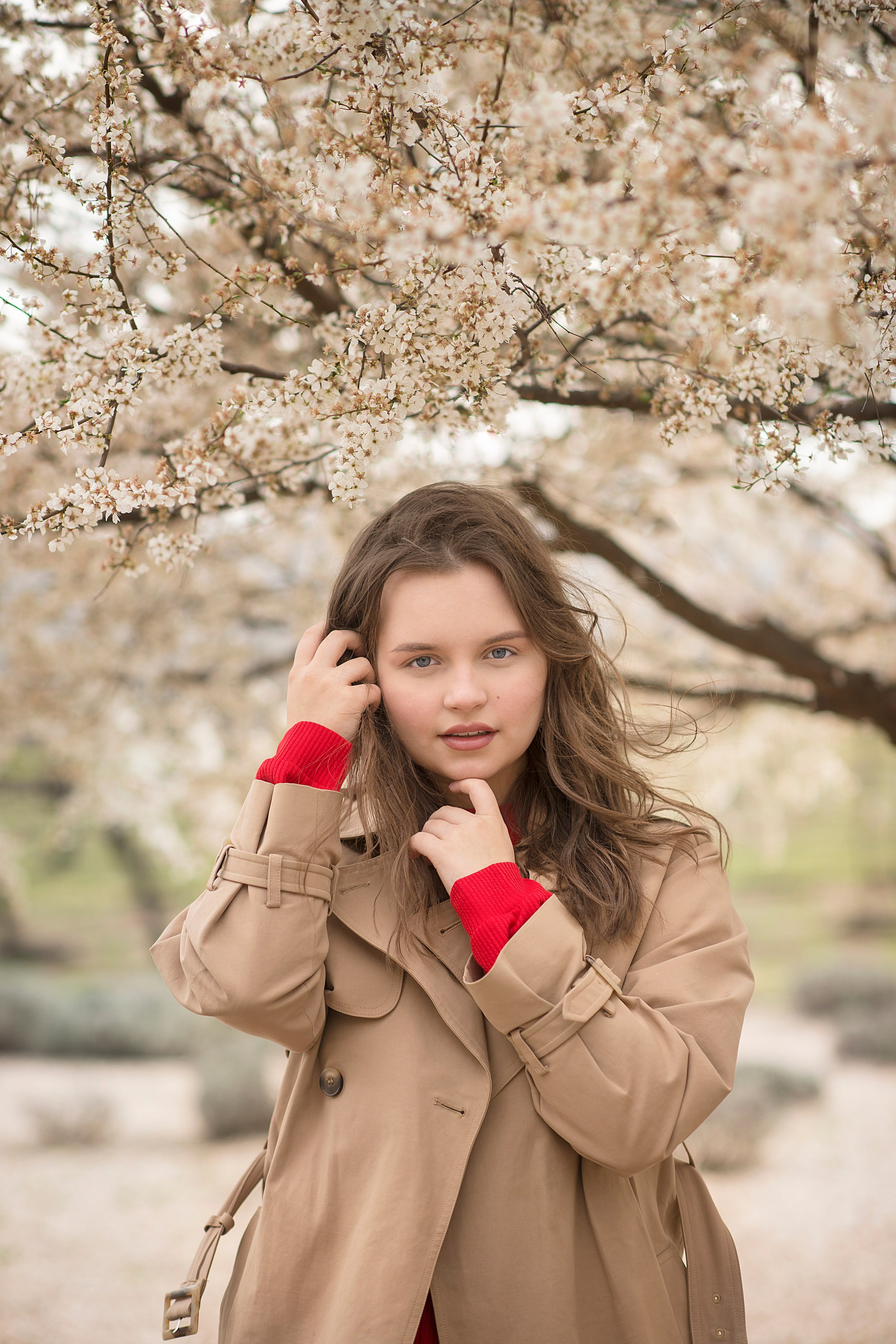 В цветущем миндале. Семейный и детский фотограф в Севастополе. Семейный фотограф в Ялте