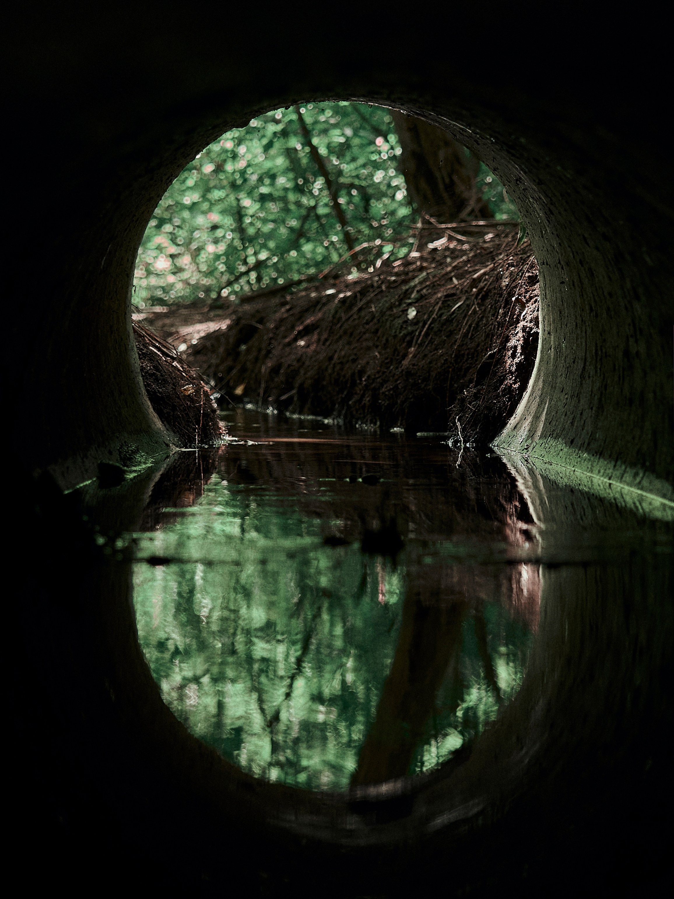 Street. Портретный фотограф в Москве