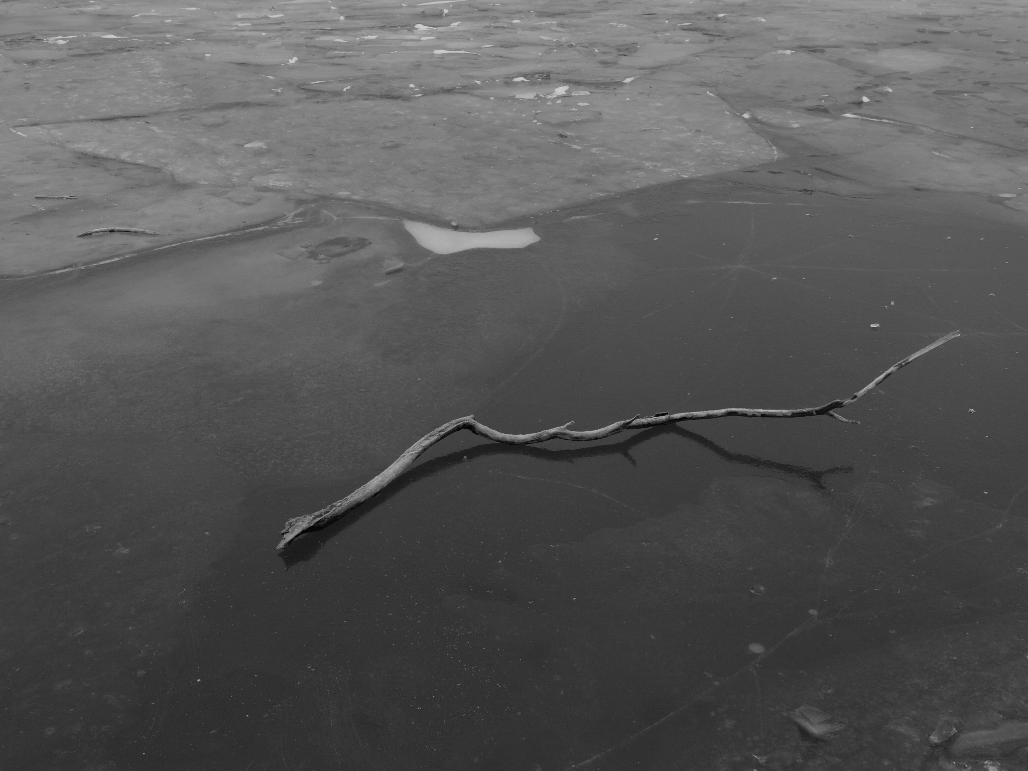 Внутривенные сны (2018-2023)