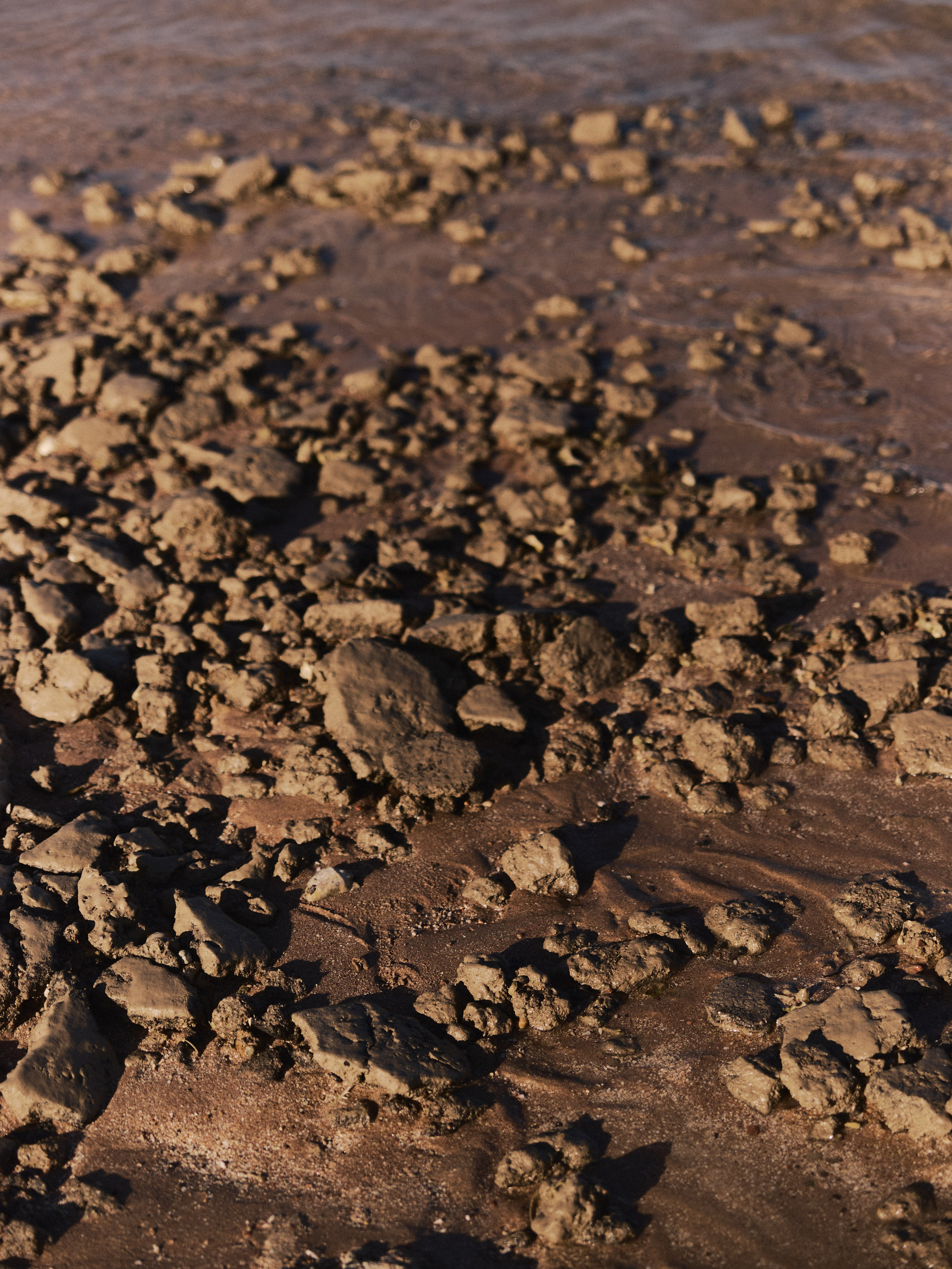 Природа. Jorgis Talè — photographer, kind person, teacher of arts and other mag