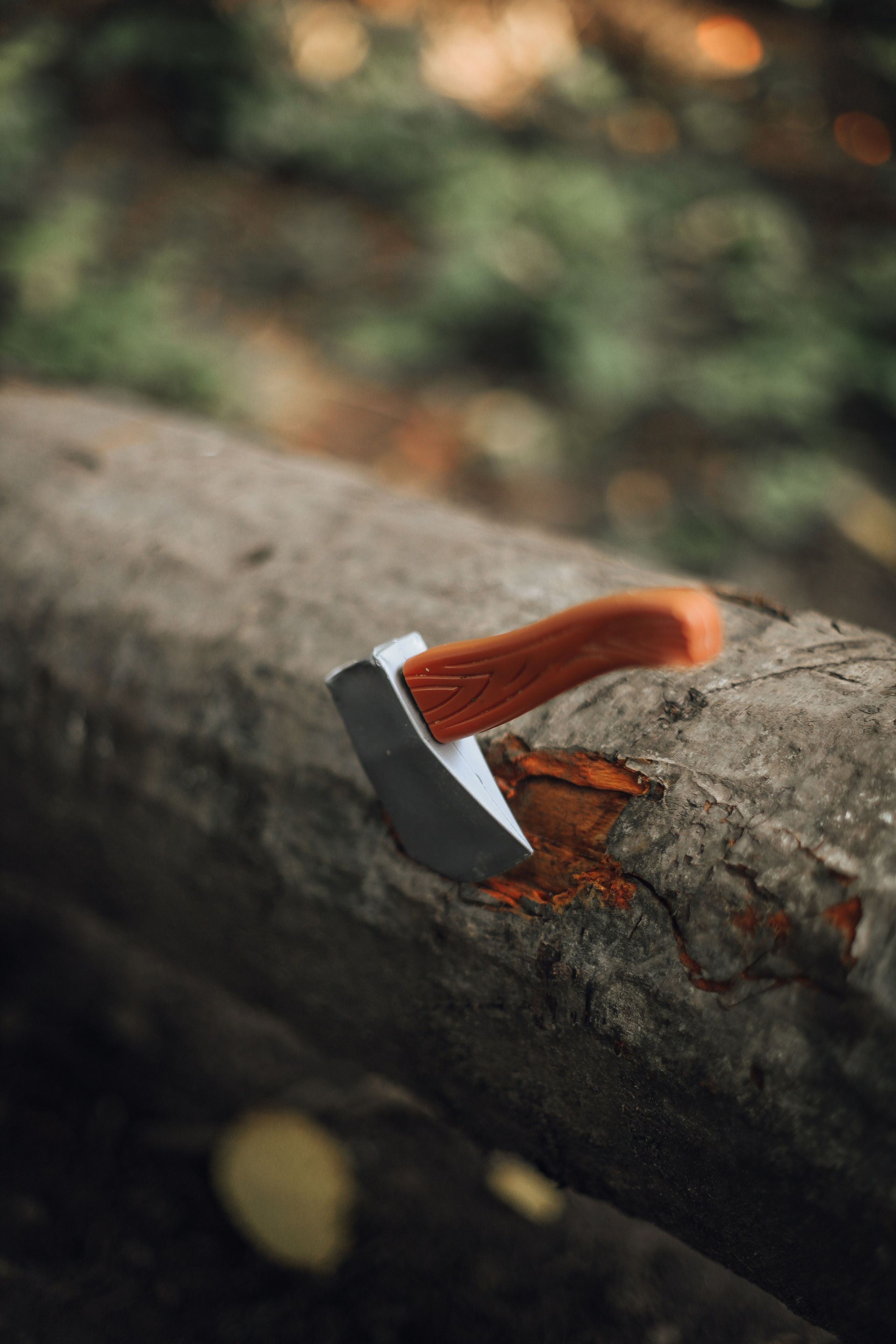 Детская фотосессия. Семейный и детский фотограф в Санкт-Петербурге «Chilik»