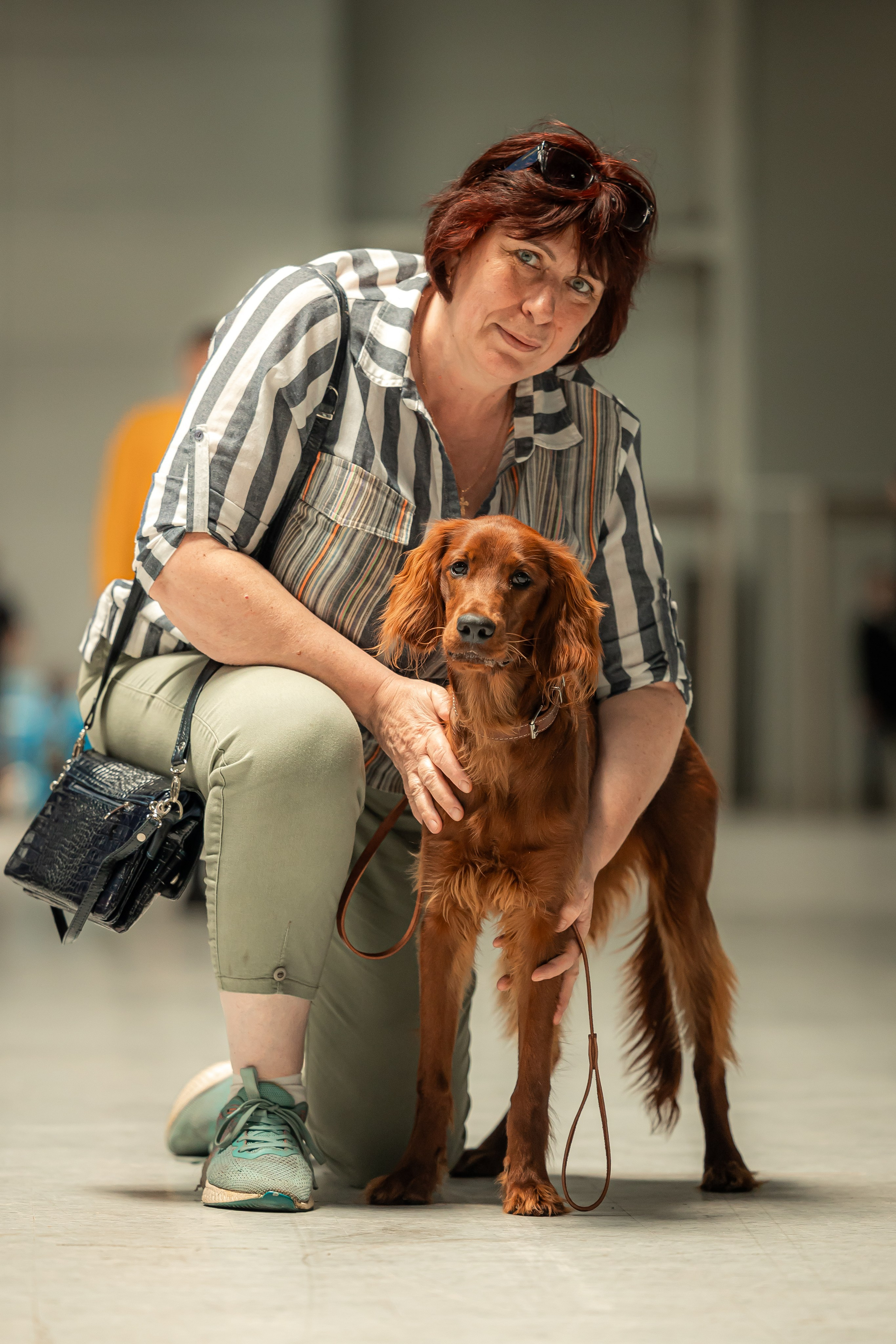 Выставка сеттеров 19.05.24