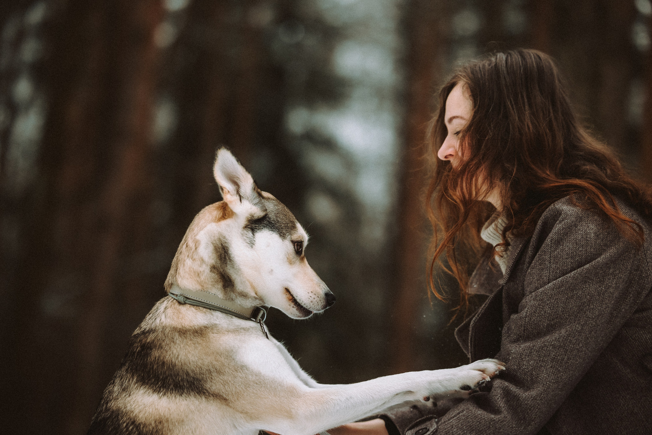 Аня и Рокси