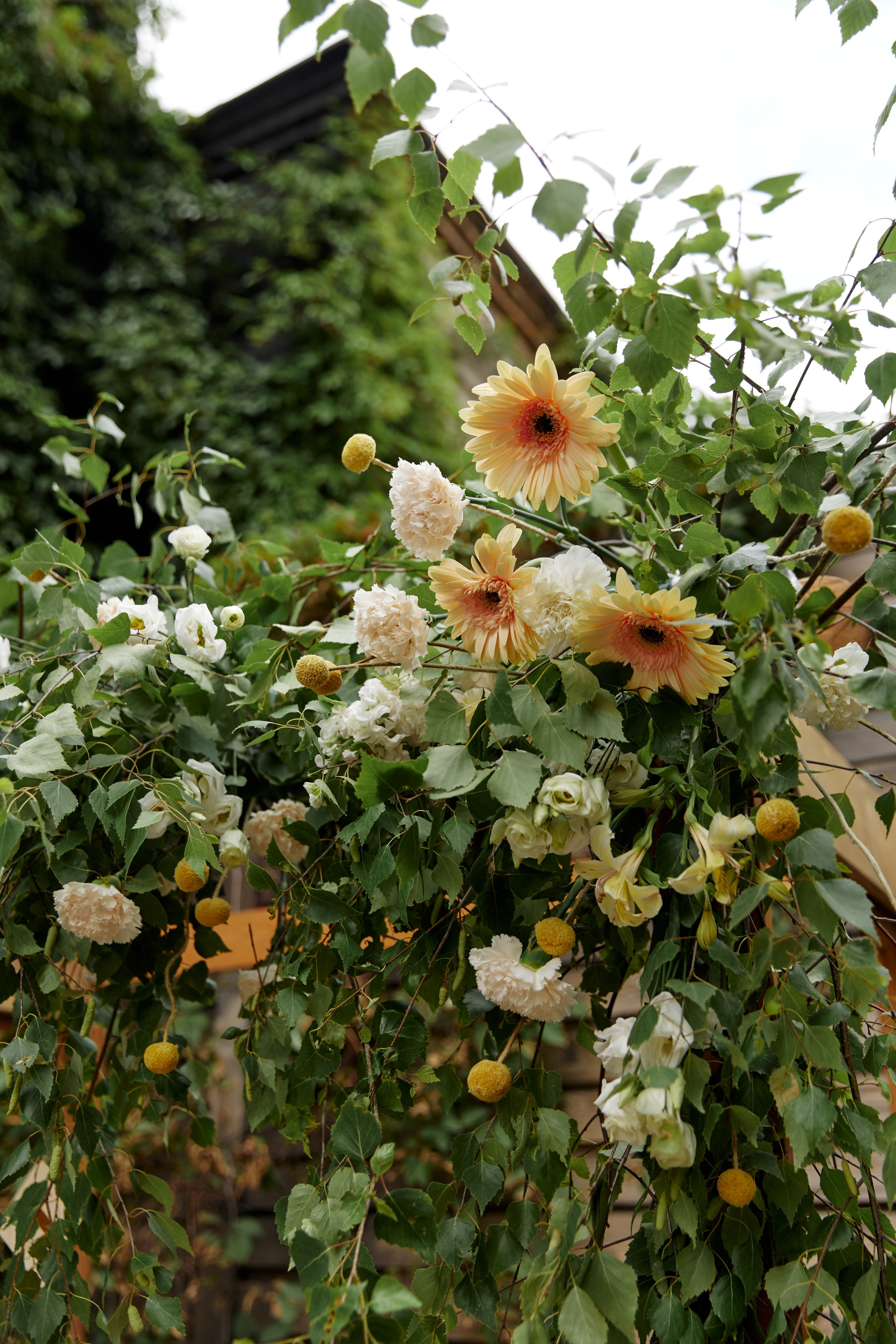 Любовь & Михаил. Фотограф и преподаватель по фотографии в Воронеже Олеся Микерова