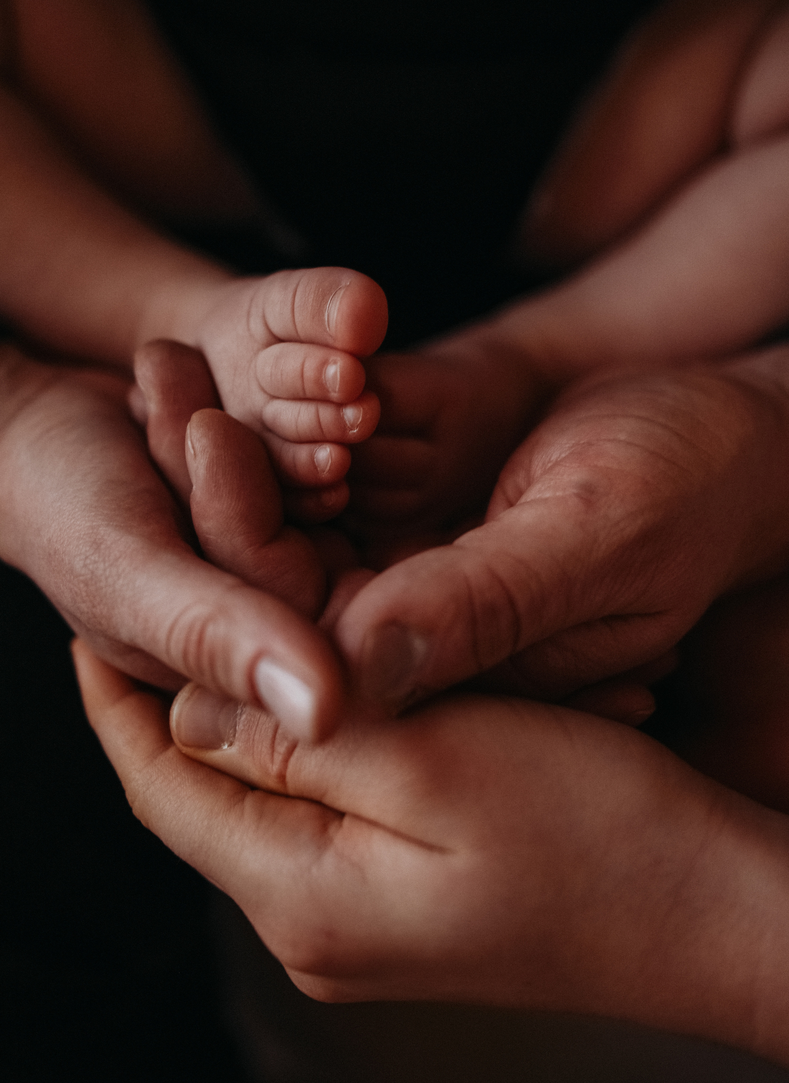 Юлия, Алексей, Дмитрий, Елизавета. Семейный и свадебный фотограф в Санкт-Петербурге Яна