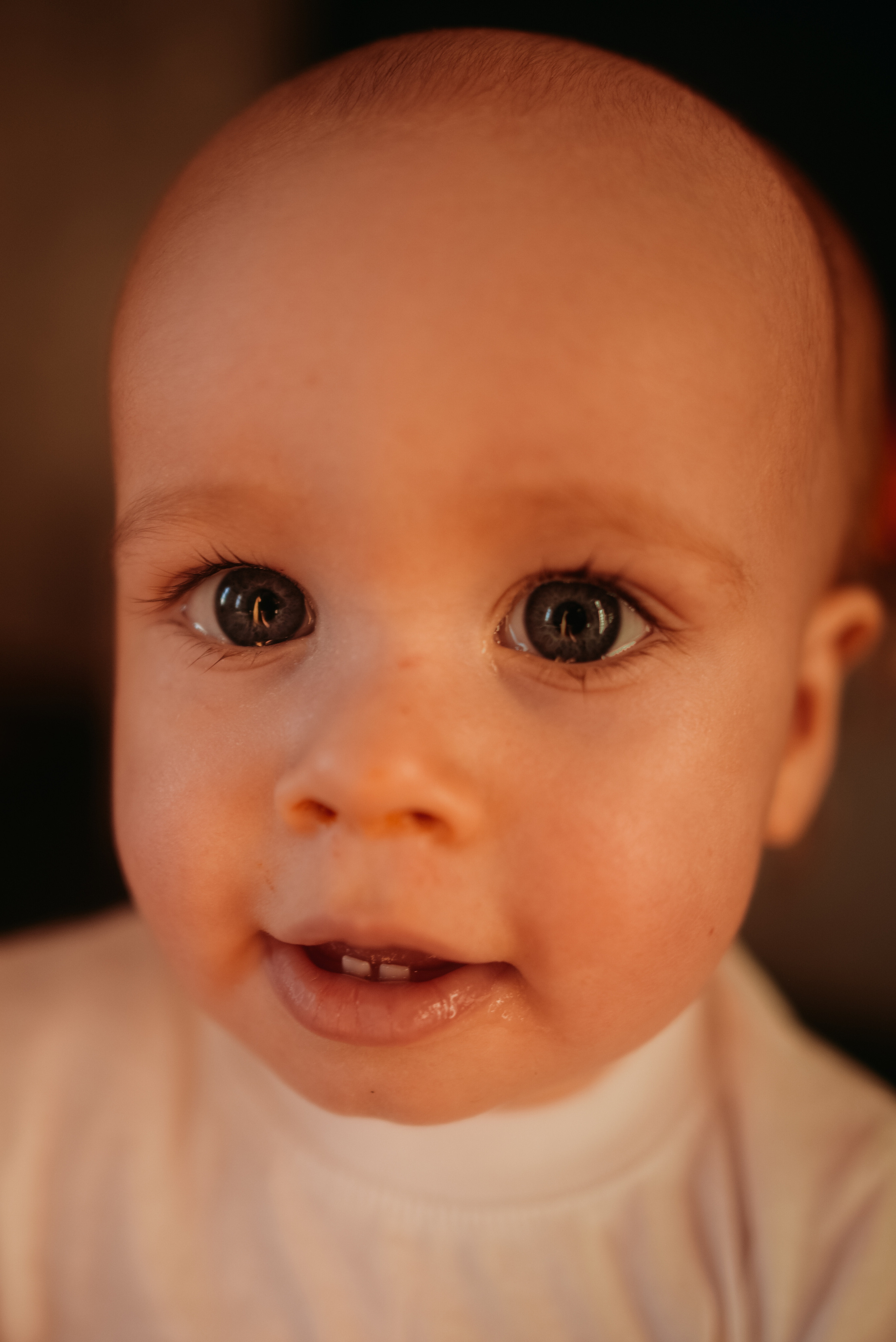 Новогодняя фотосессия в студии. Марианна, Степан, Илларион и Тихон. Семейный и свадебный фотограф в Санкт-Петербурге Яна