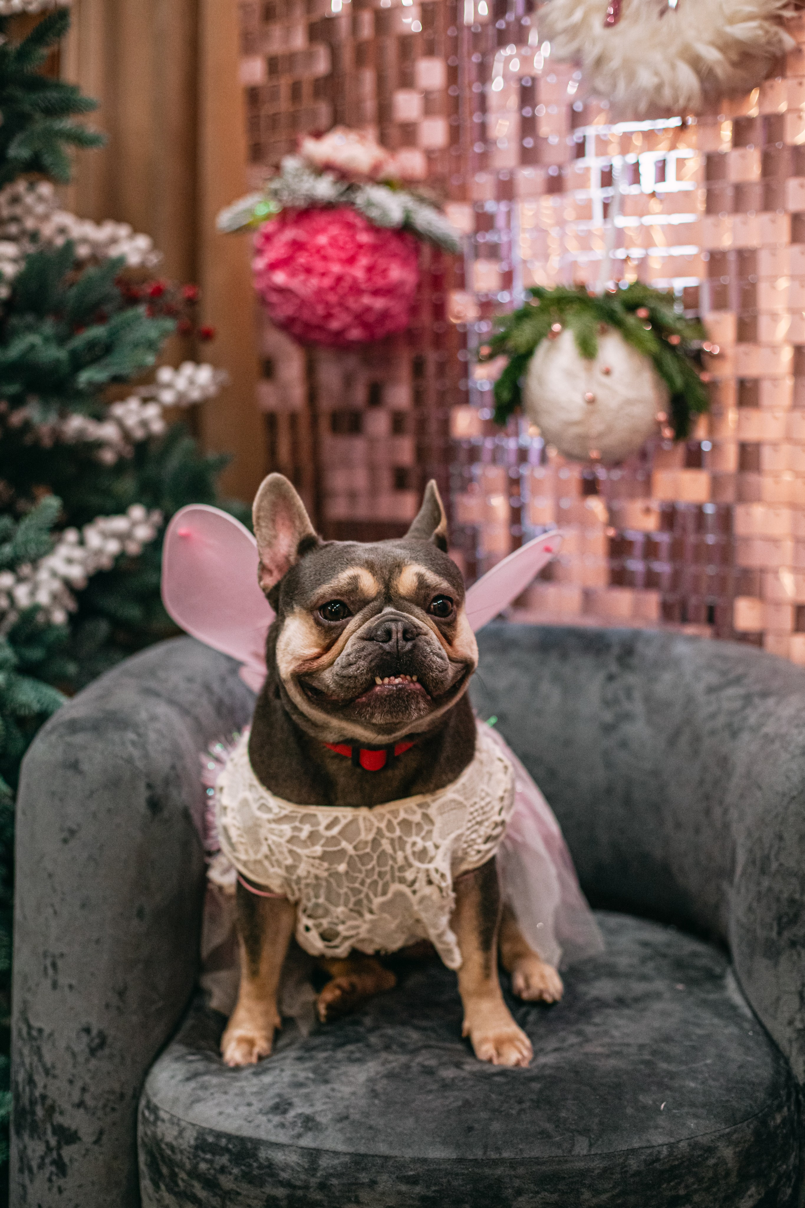 Бульёлка 2024. Фотограф-анималист Татьяна Степанова