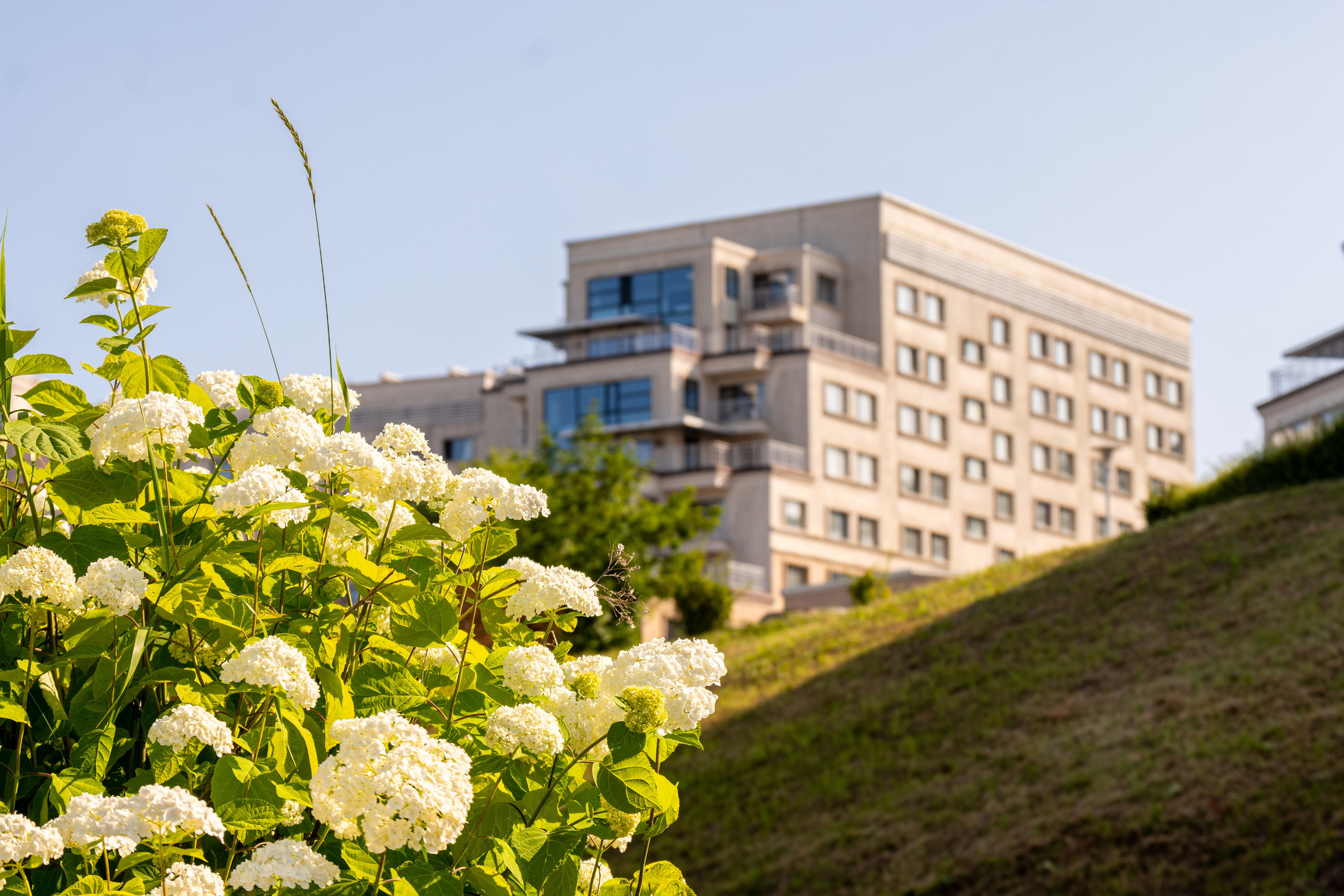 Кампус ДВФУ. Репортажный и портретный фотограф во Владивостоке Денис Седов