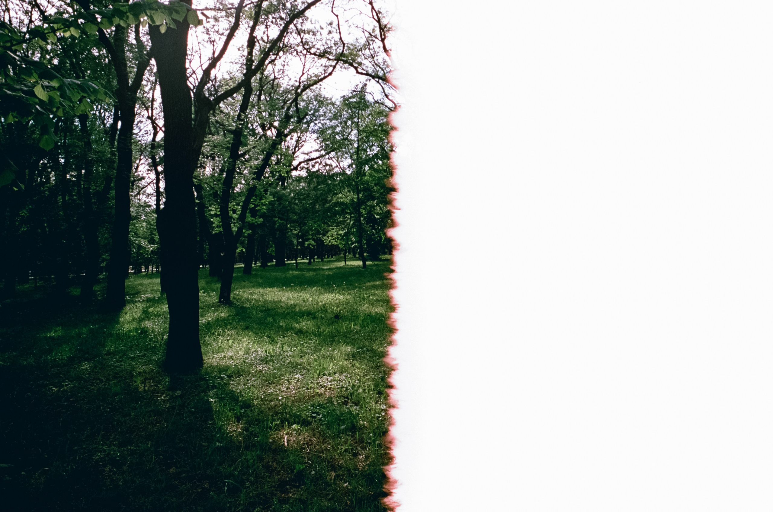 6 мая Парк Ессентуки / Voigtlander BESSA-T / Kodak Aerocolor IV