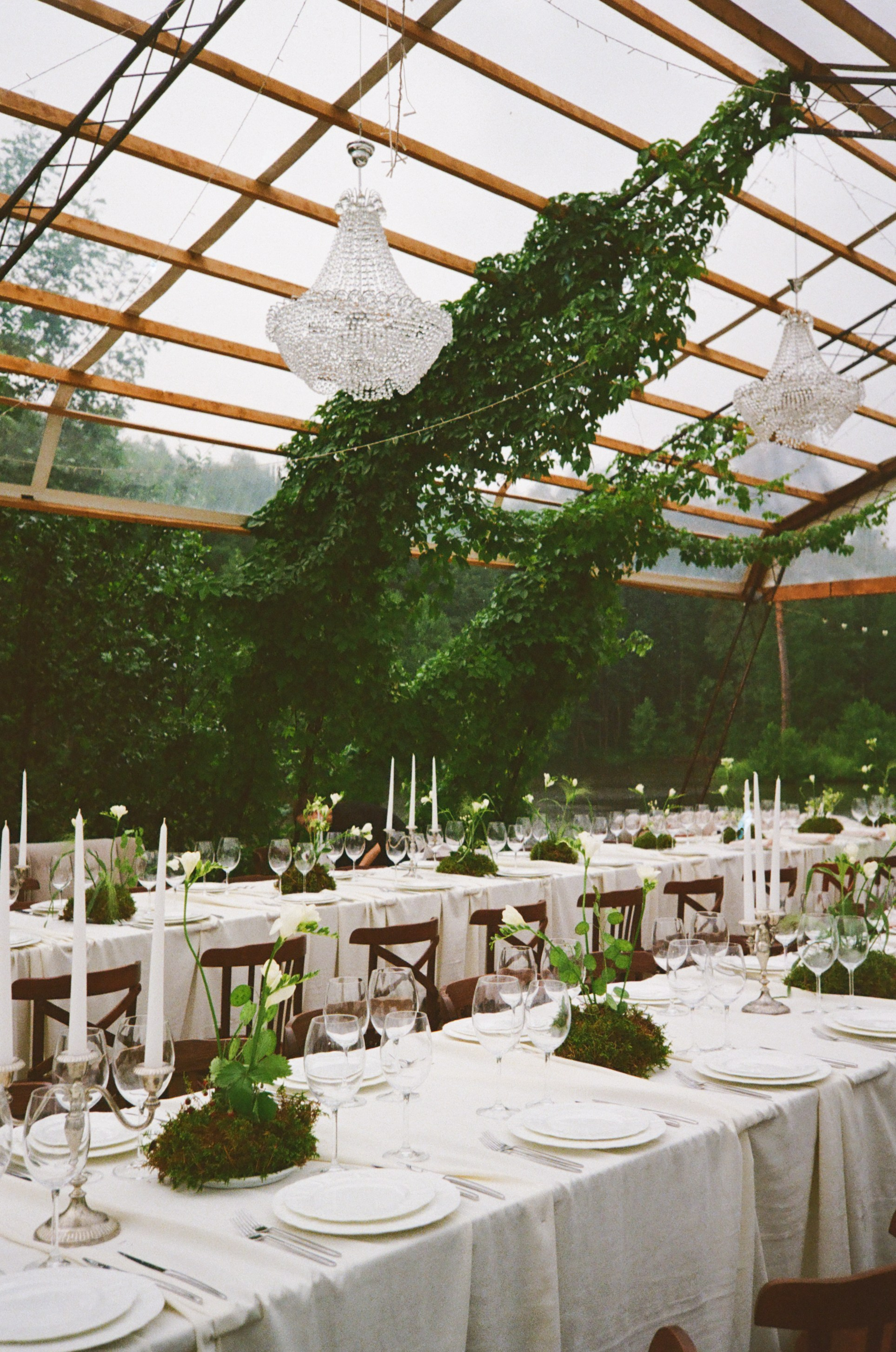 НИКИТА И ТАНЯ (ПЛЁНКА). Свадьбы