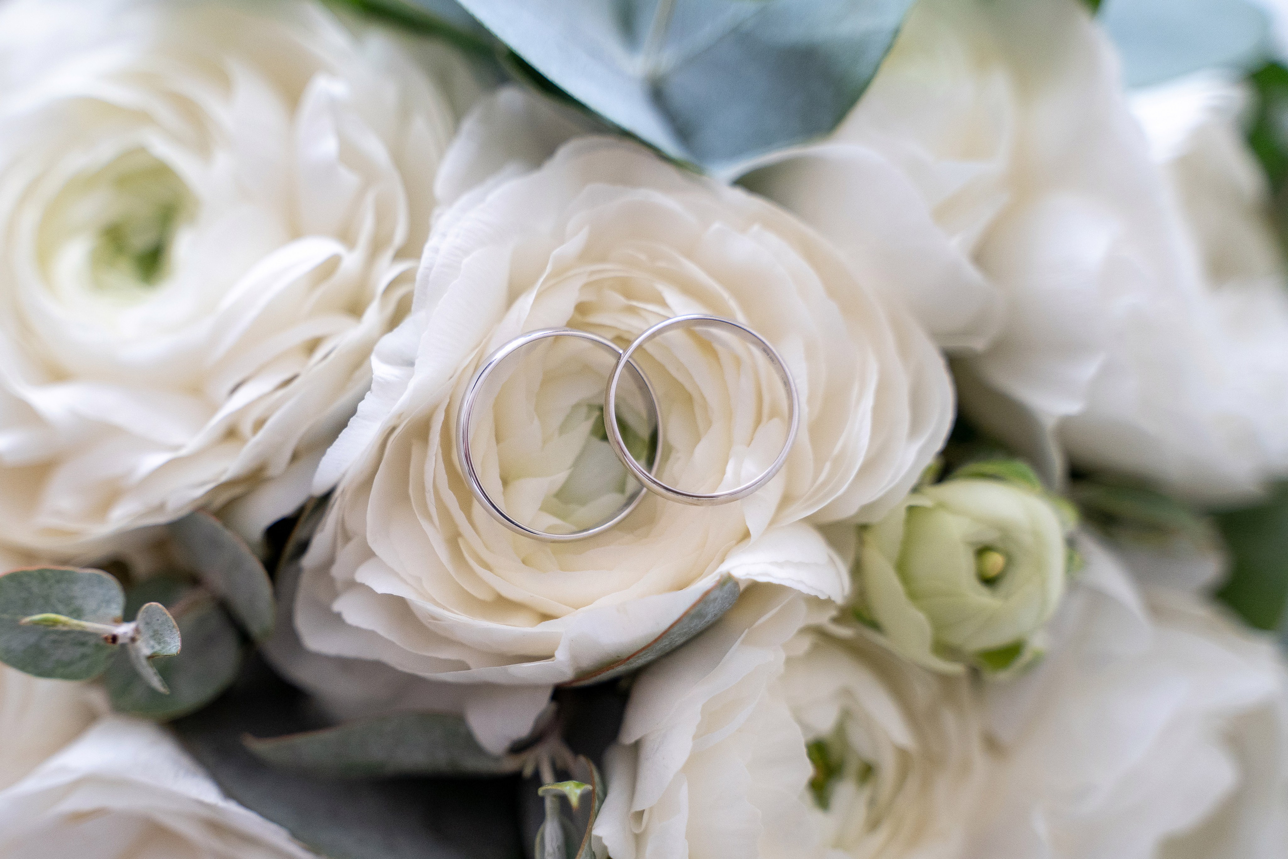 Александр и Виктория. Архив