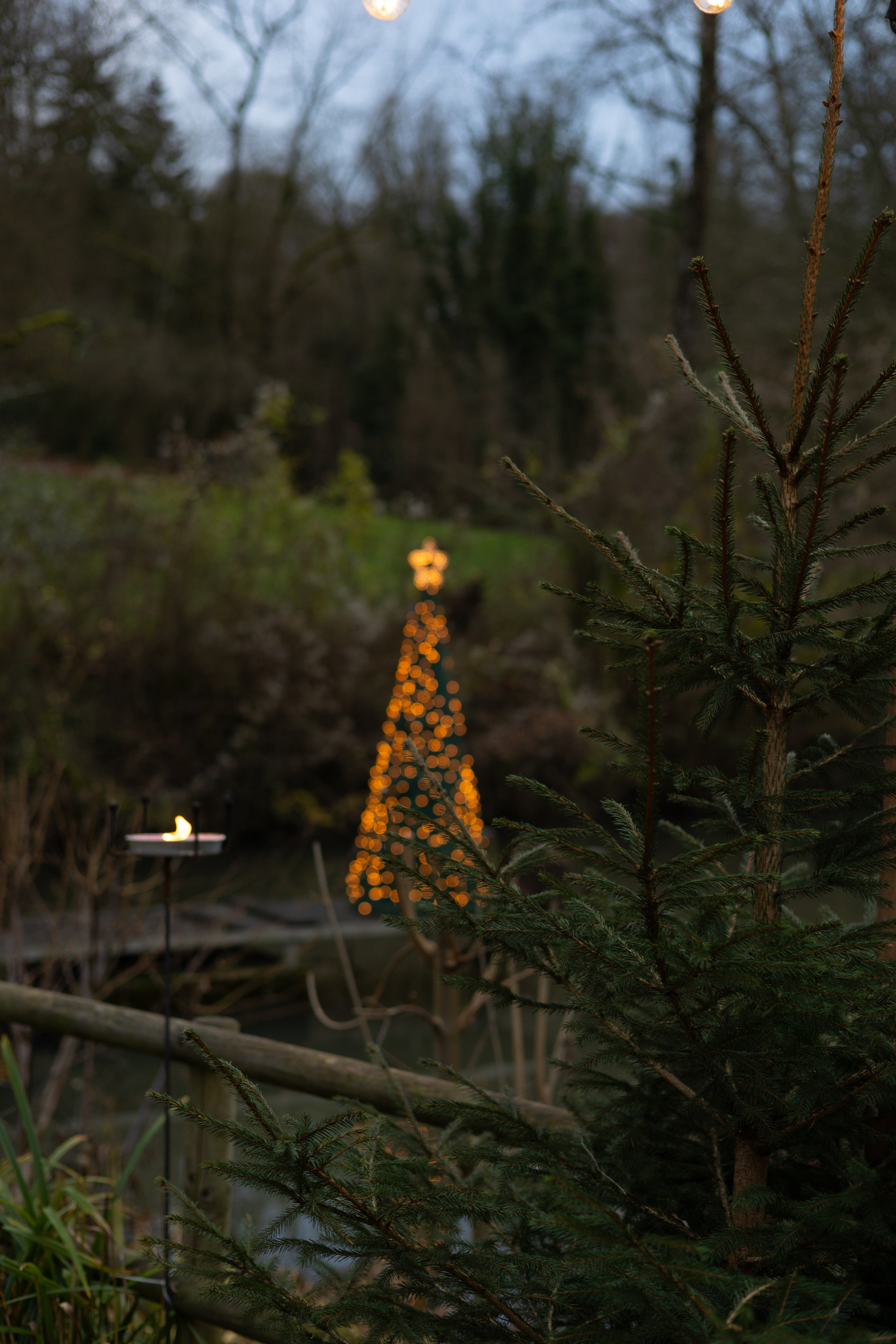 Christmas Fairy Tale. ITMAG.ME | Visual Art