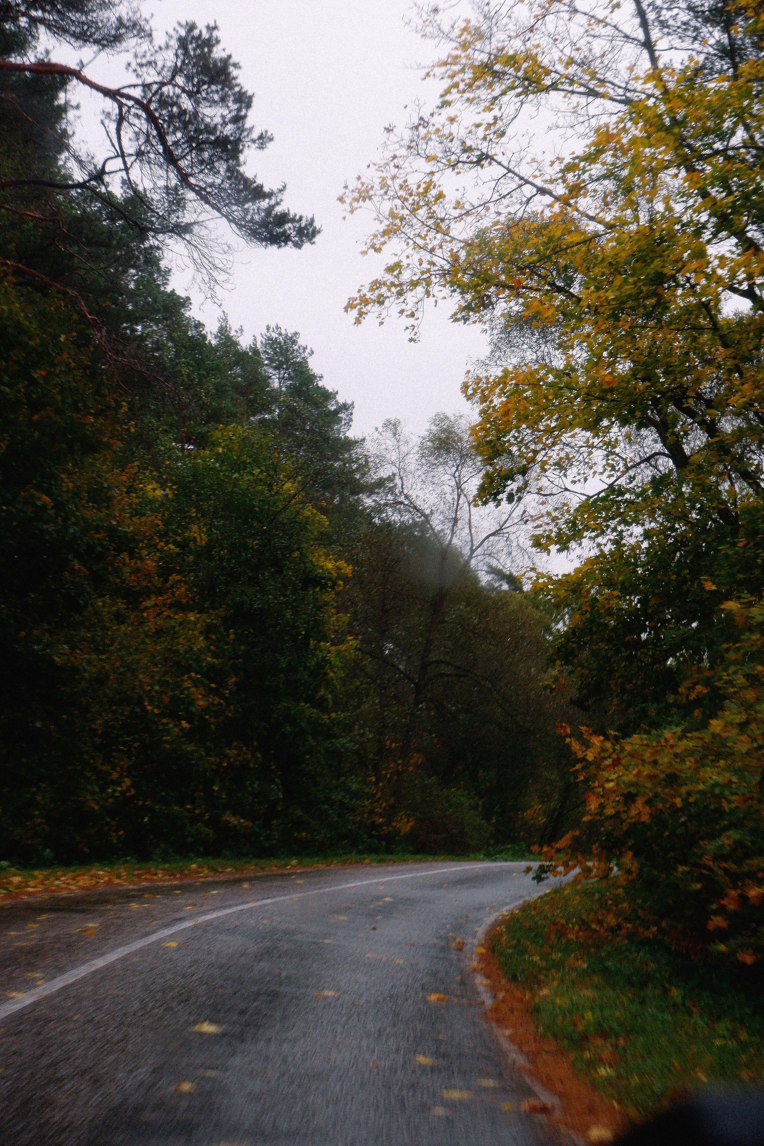 KALUGA. ANNA — PHOTOGRAPHER