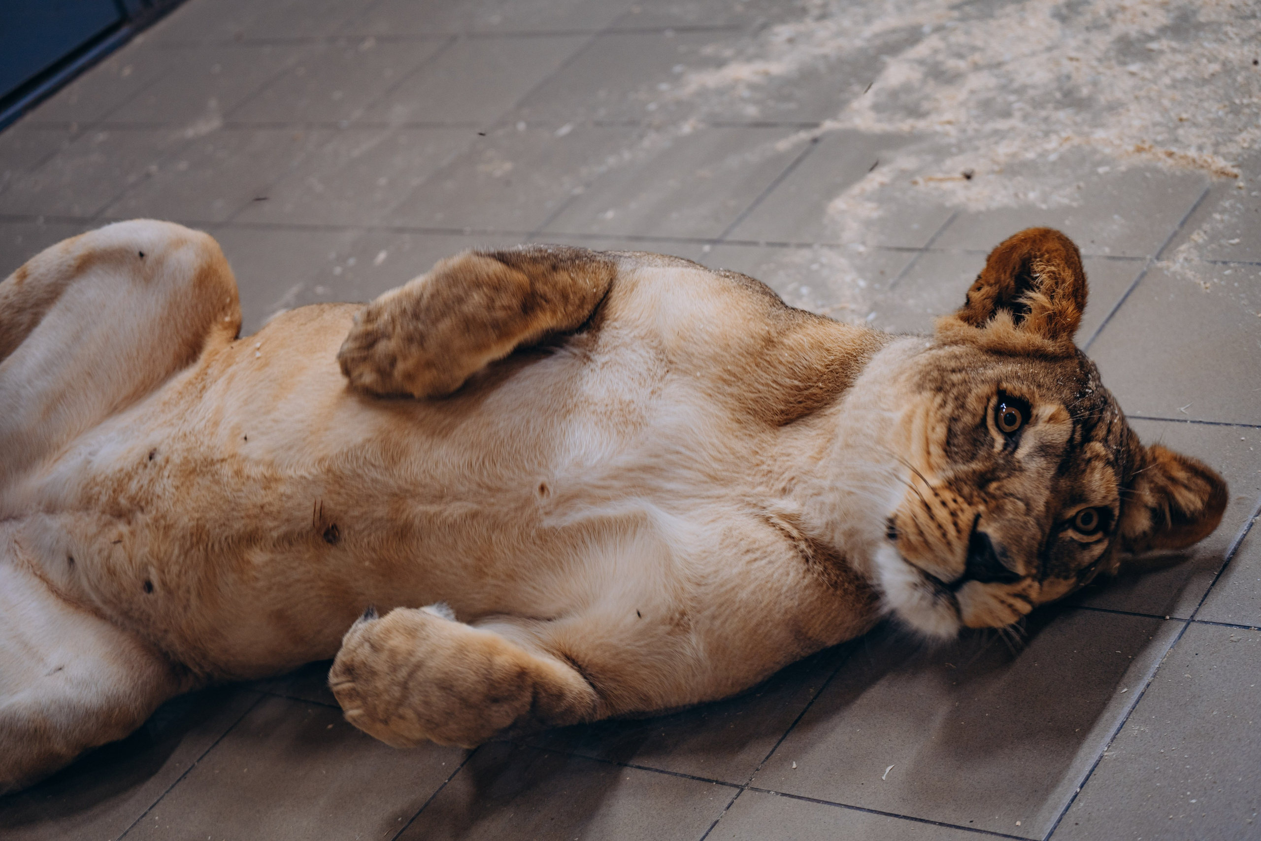 СЕВЕР. Event фотограф Степанова Александра