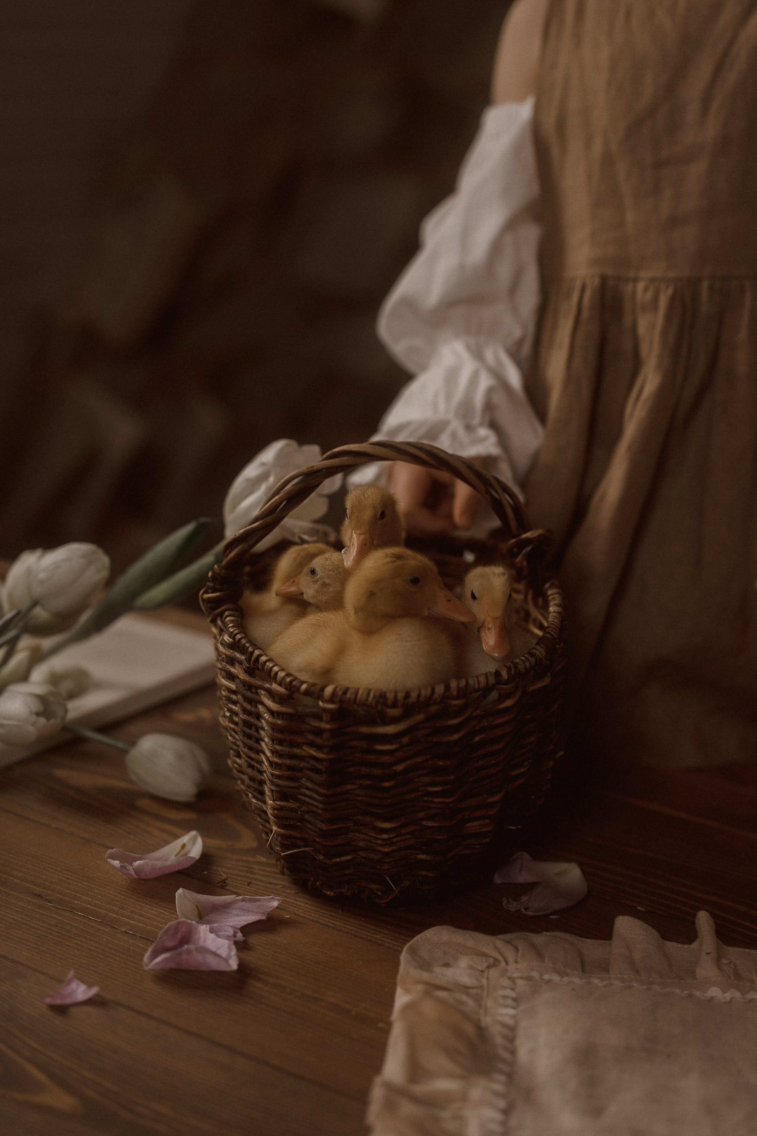 Семейная фотосессия г. Пушкино. Николь, Мия и Александра. Семейный и детский фотограф в Сергиев Посаде, Хотьково Якимчук Любовь