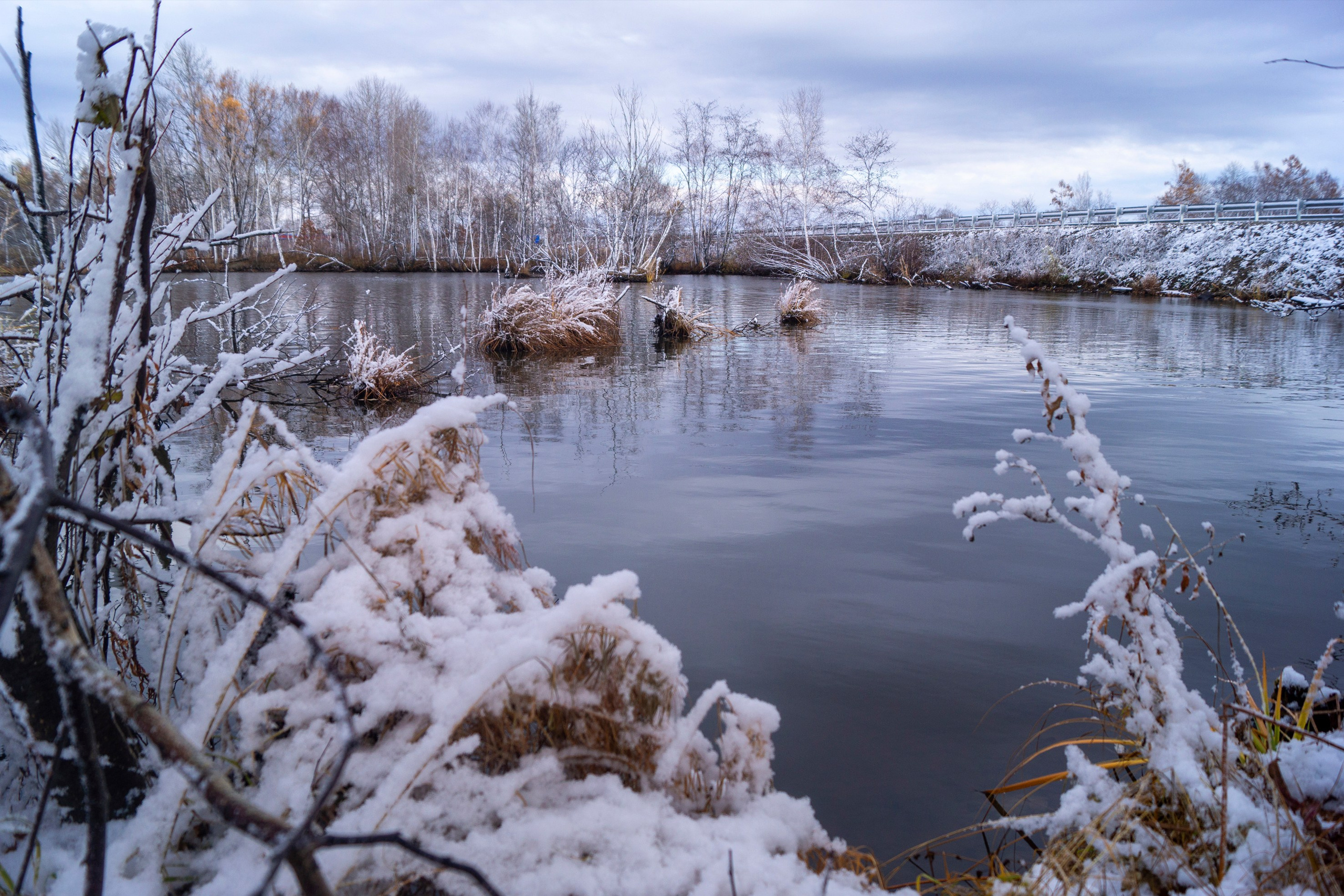 Природа Хабаровского края. Команда фотографов Кристины Ивановой