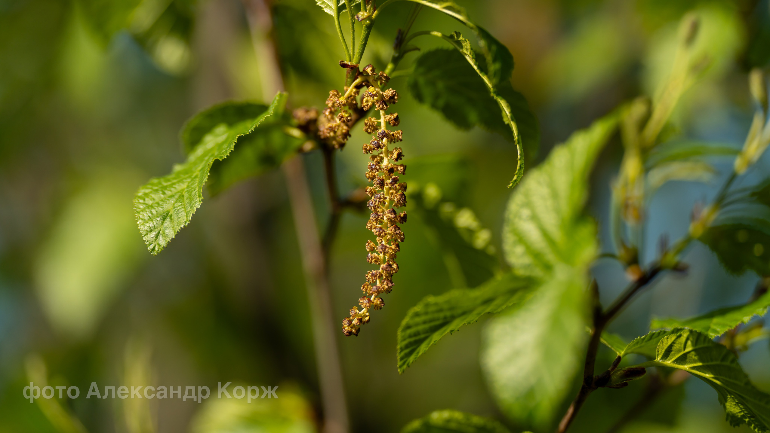 Фотографии Северного поселка Айхал. Фотографии и видеосъемка, Айхал, Удачный, Якутия. Фотографии Айхал