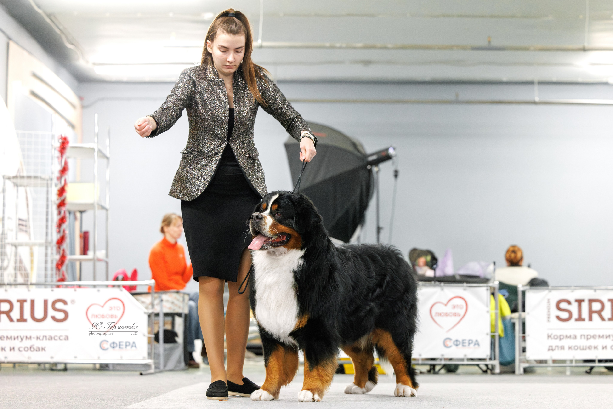 Сфера и Крокус 8,9,16 и 30.03.2025. Фотограф-анималист Юлия Германика