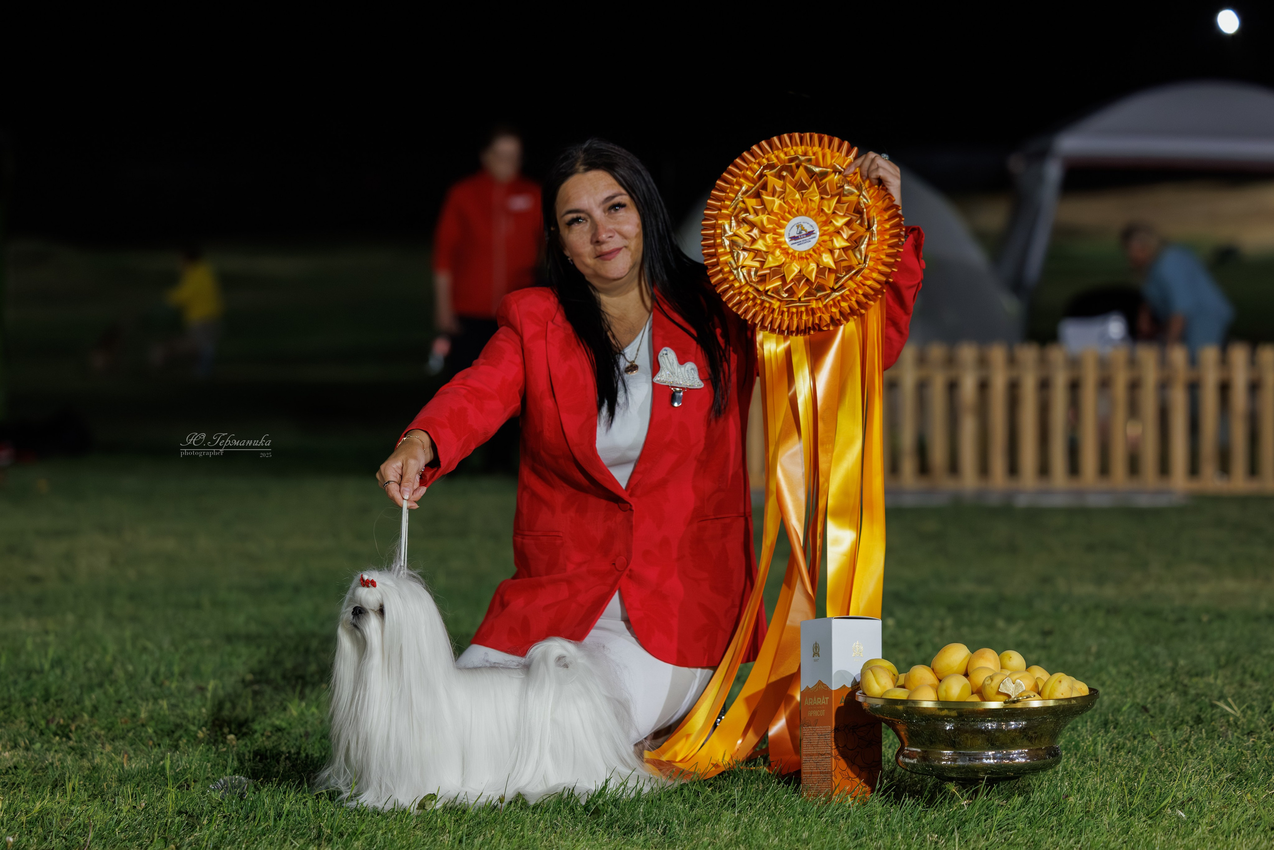 Ереван 3хCACIB 23-25.06.2025. Фотограф-анималист Юлия Германика