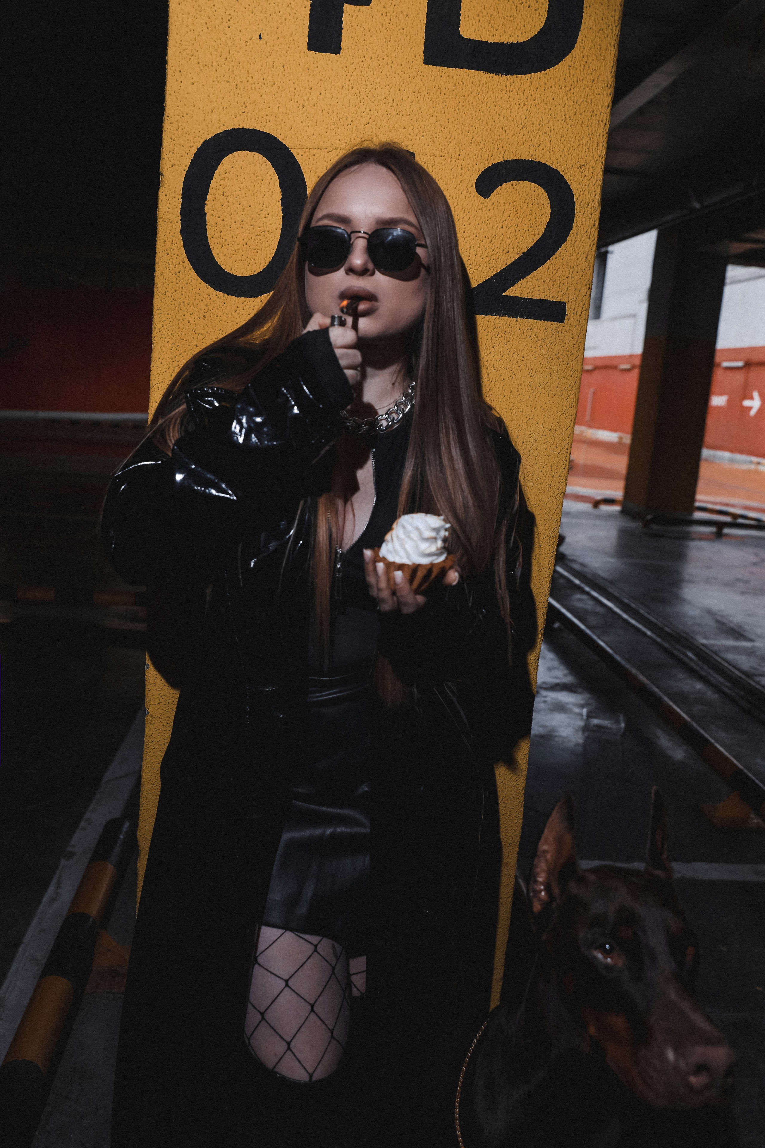 ПРОЕКТ «ДОБЕРМАНЫ». Photographer Viktoriya Markushina «My world throug»