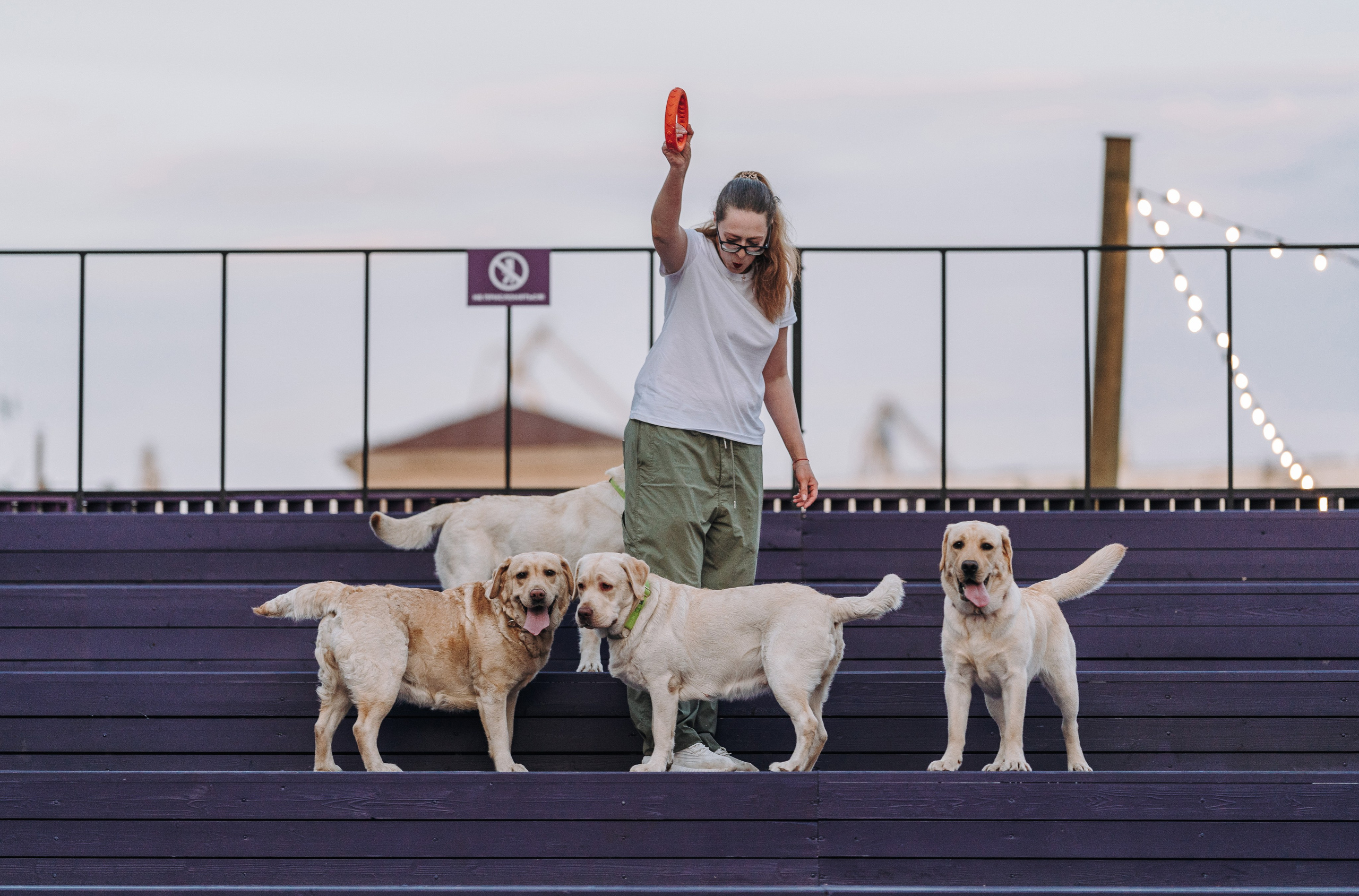 Фотосъёмка с вашими питомцами. Фотограф анималист в Спб недорого Олеся Майорова