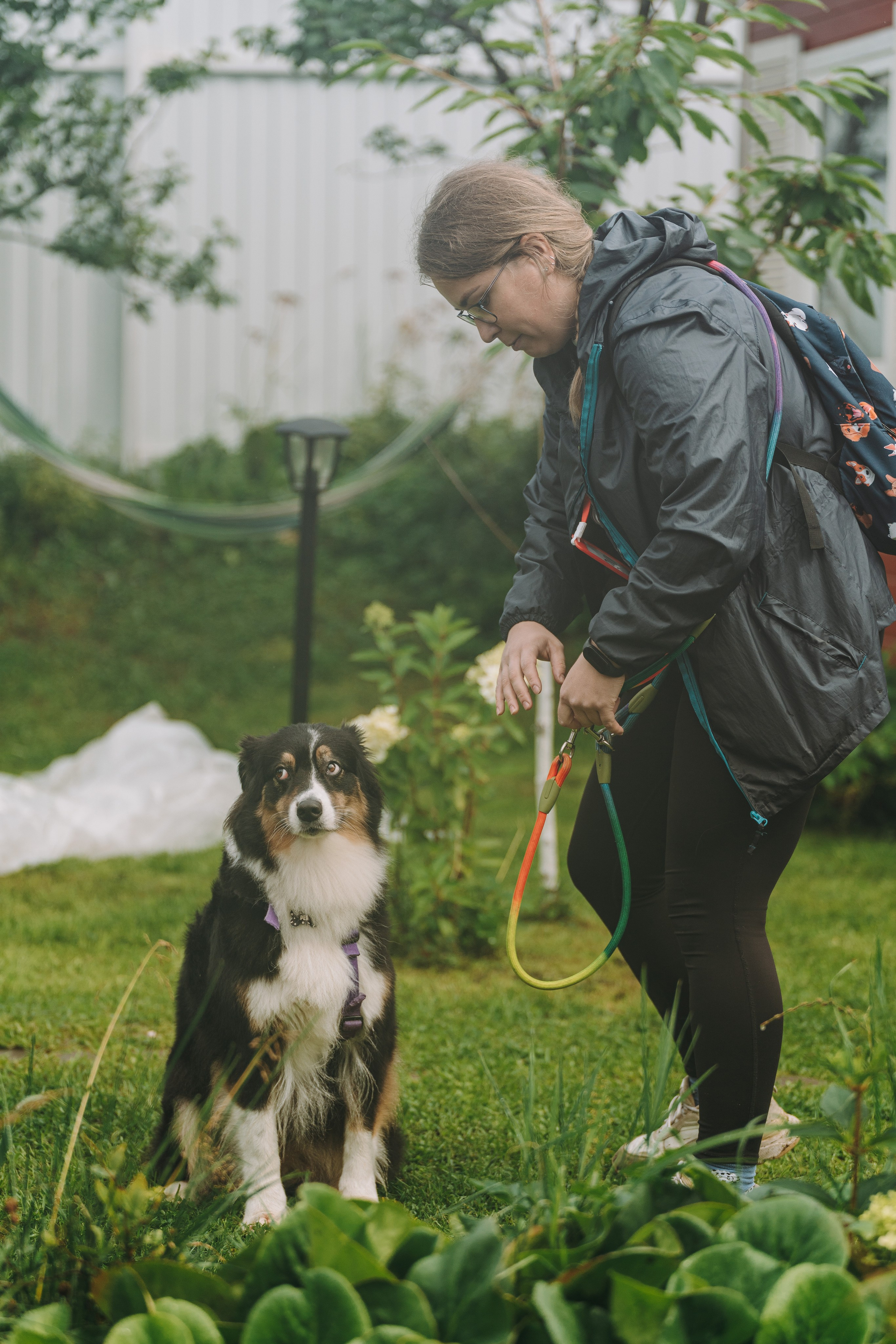 Соревнования по ноузворку в Новожилово. Фотограф анималист в Спб недорого Олеся Майорова