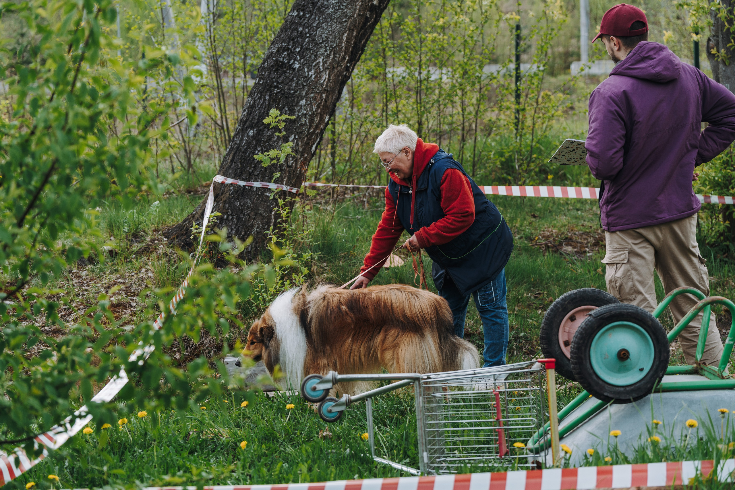 Соревнования по ноузворку в Лосево. Фотограф анималист в Спб недорого Олеся Майорова