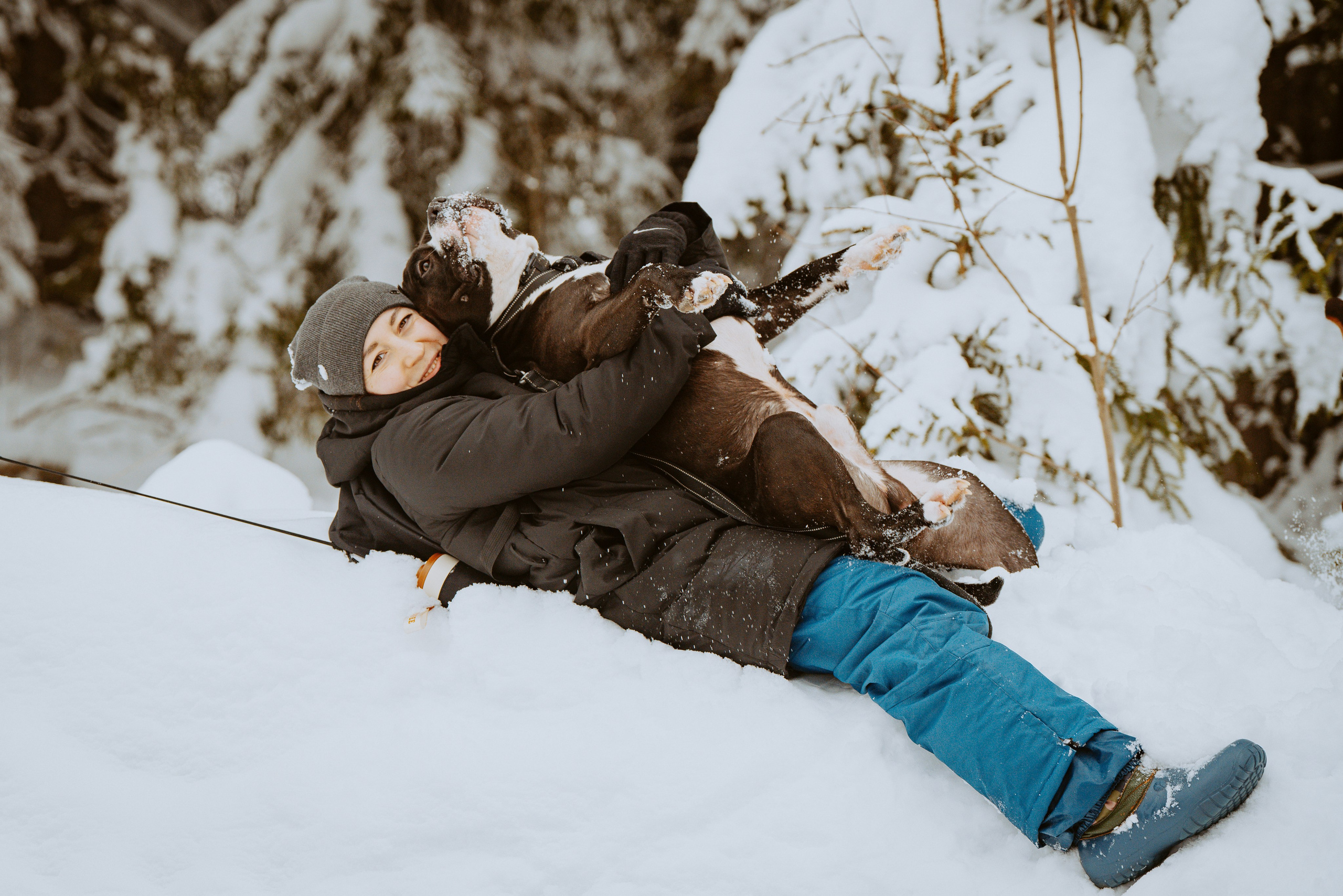 Дог трекинг. Фотограф анималист в Спб недорого Олеся Майорова