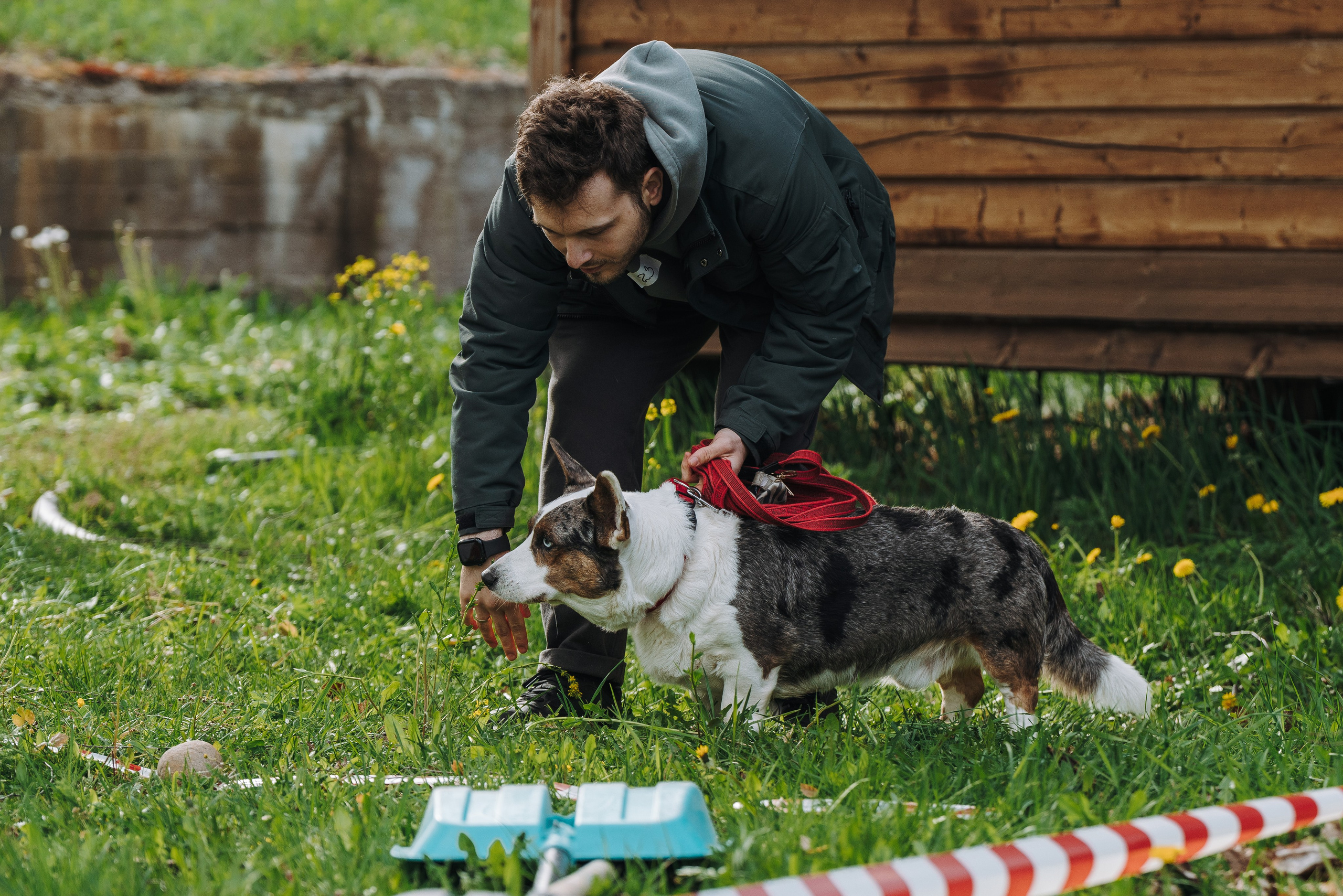 Соревнования по ноузворку в Лосево. Фотограф анималист в Спб недорого Олеся Майорова