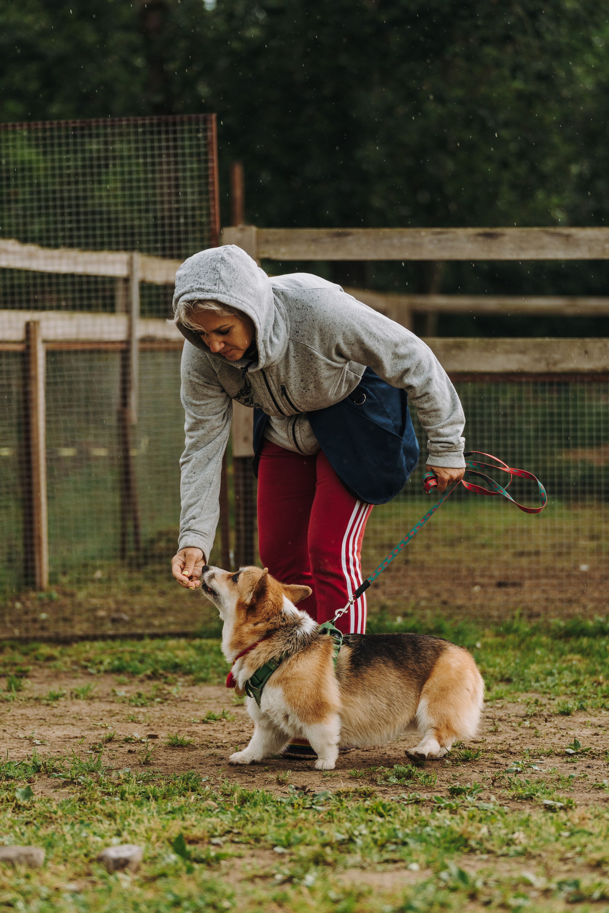 Соревнования по ноузворку в Новожилово. Фотограф анималист в Спб недорого Олеся Майорова