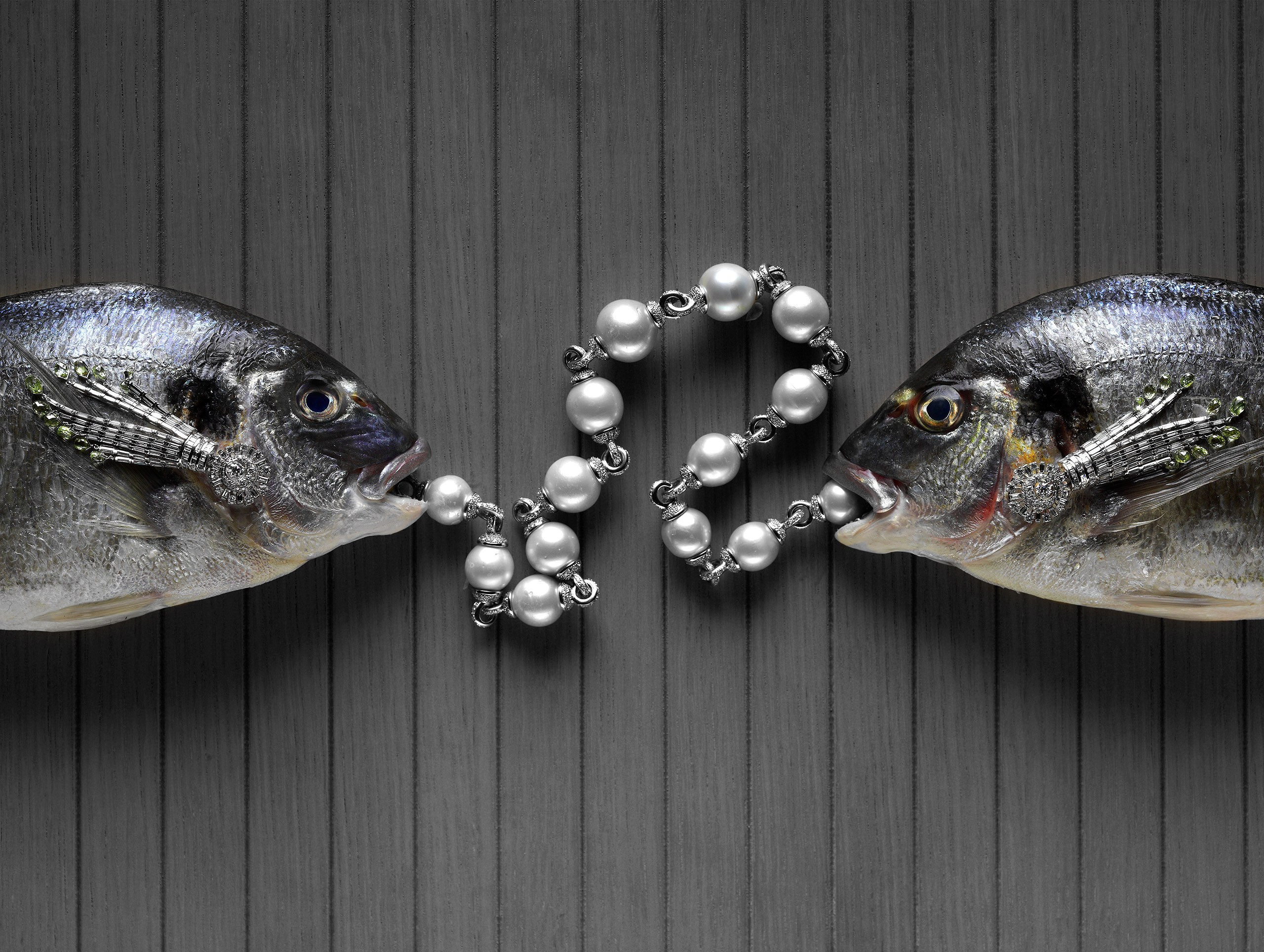 Портфолио. Фотостудия Игоря Сахарова (Санкт-Петербург)