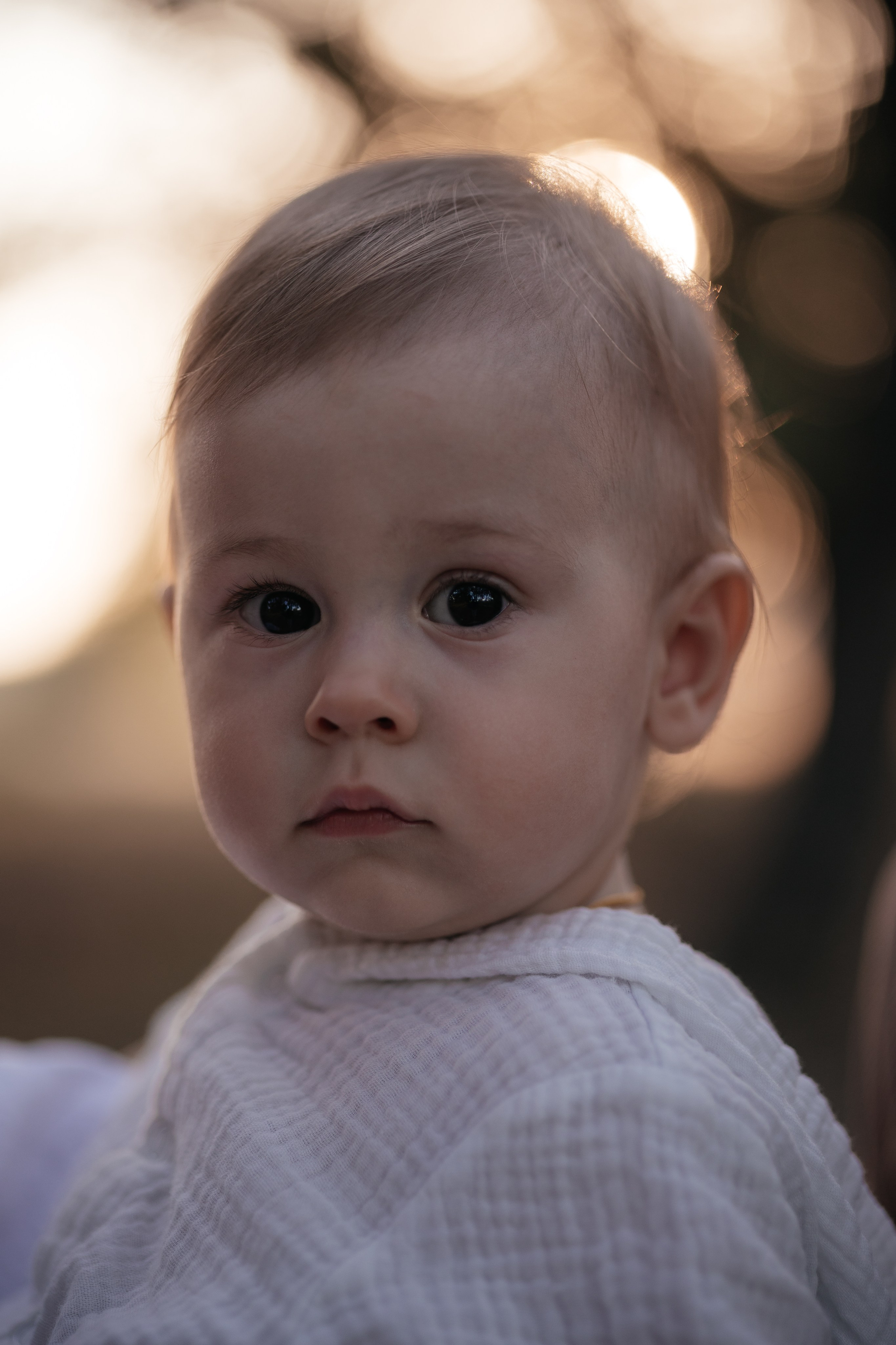 Прогулка в Дубовой роще. Фотограф Крохин Олег