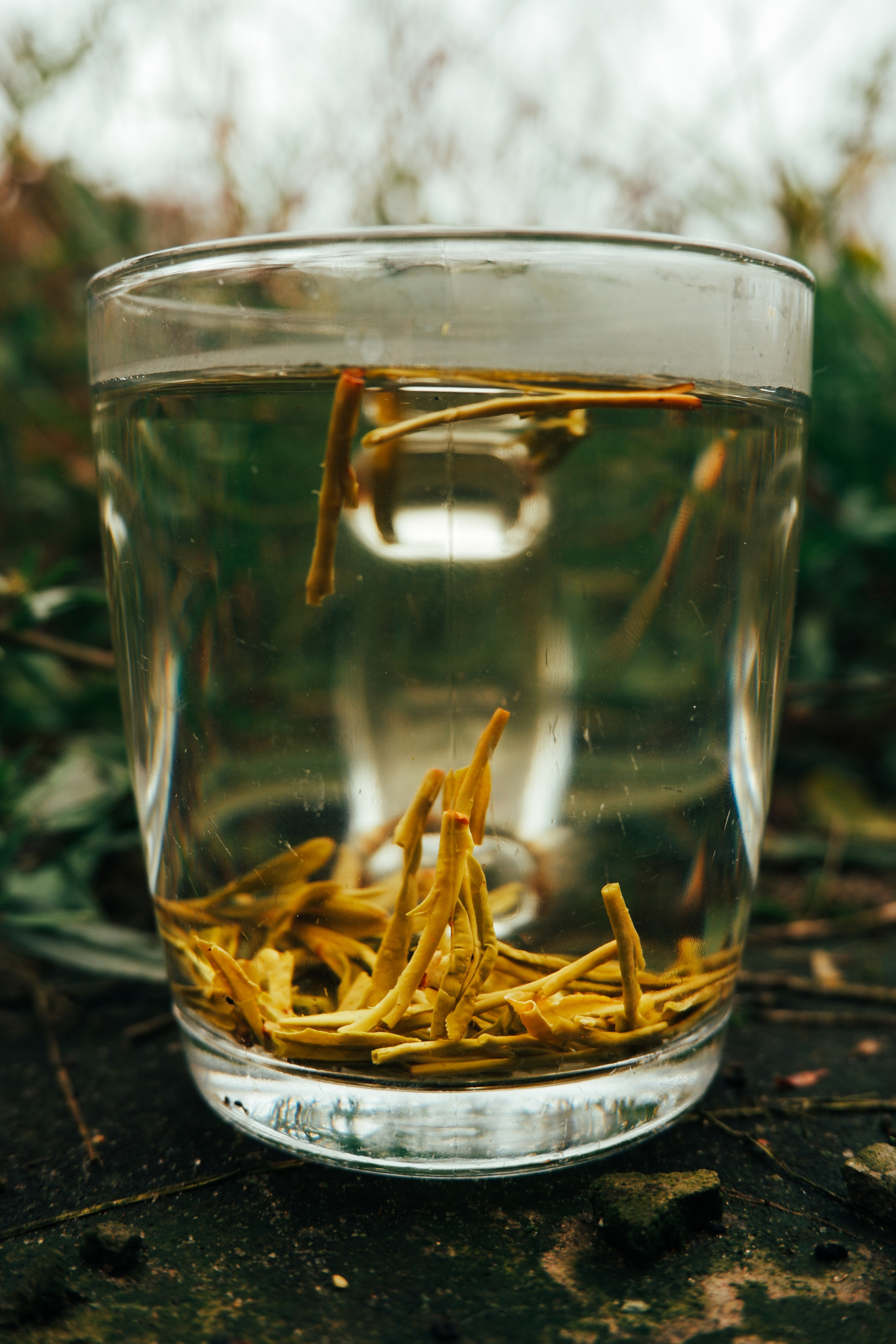 Предметная и фуд-фотография (Food and subject photography). Фотограф (photographer) Lischinski Vitaliy