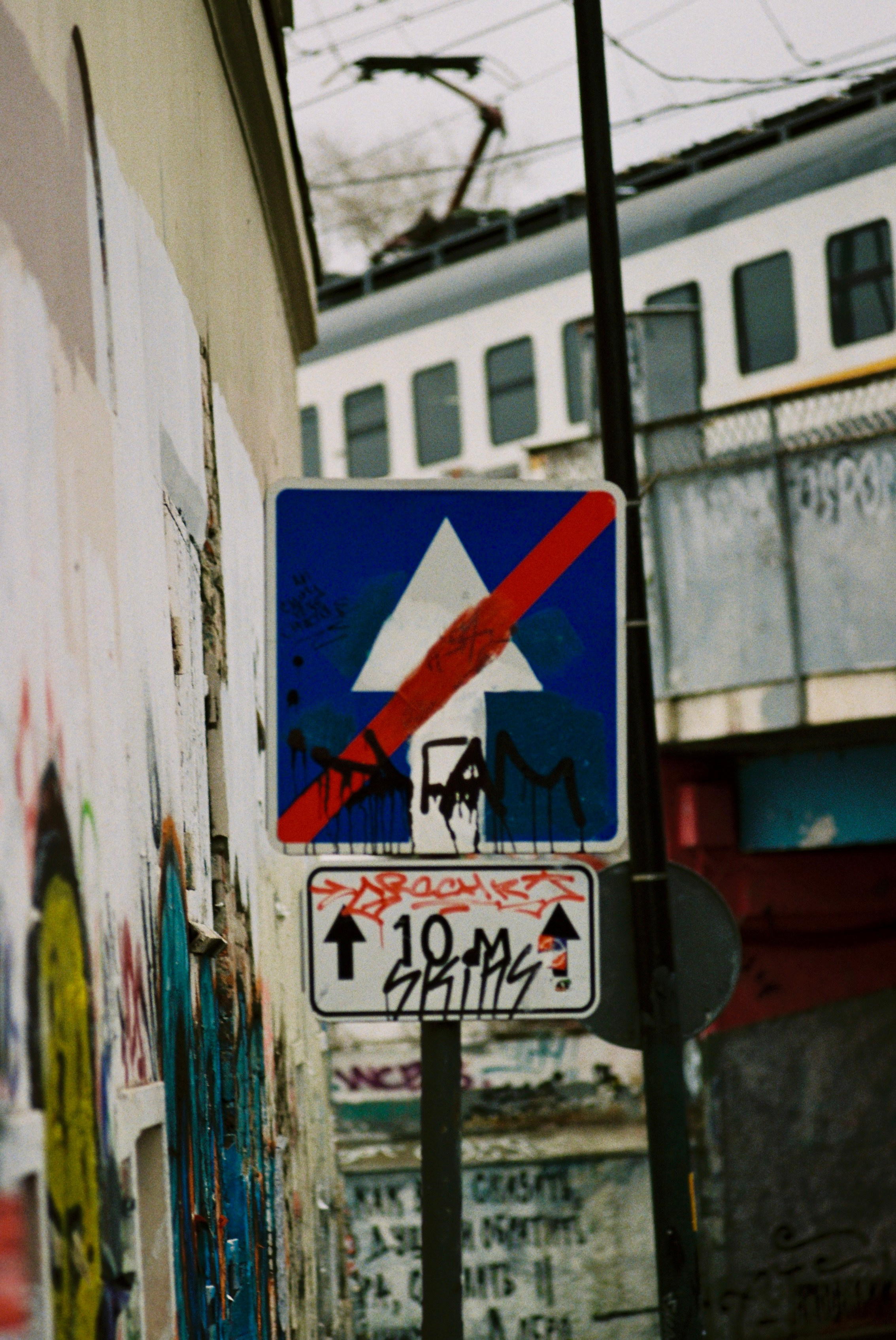 Плёночная фотография. Фотограф Денис Кириллов