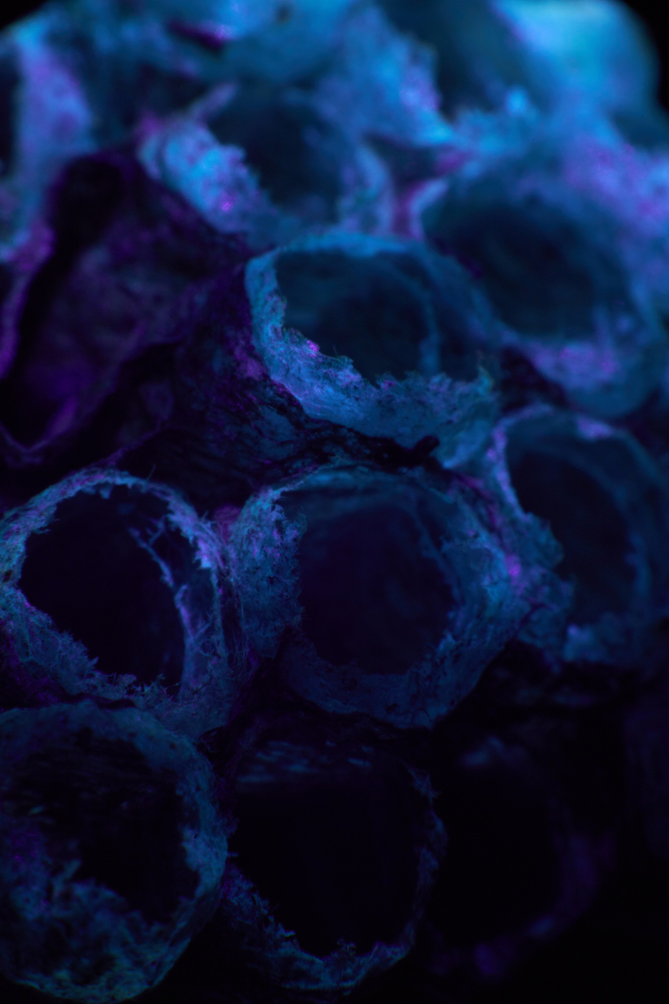 «Красок Тьма Полна». Арт-фотограф во Владивостоке Дмитрий Осипчук