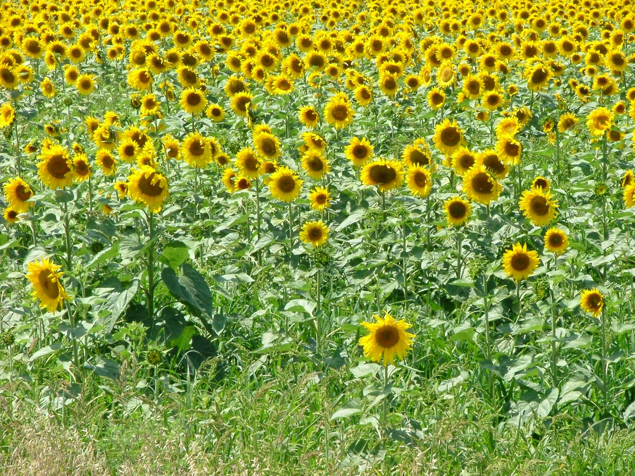 Туапсе. Главная