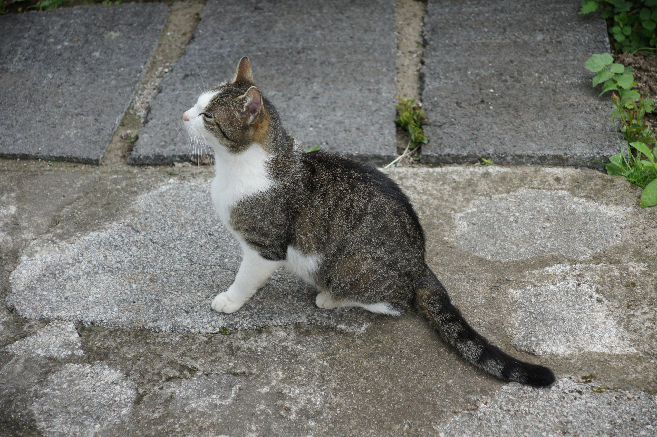 Хорватия. Главная