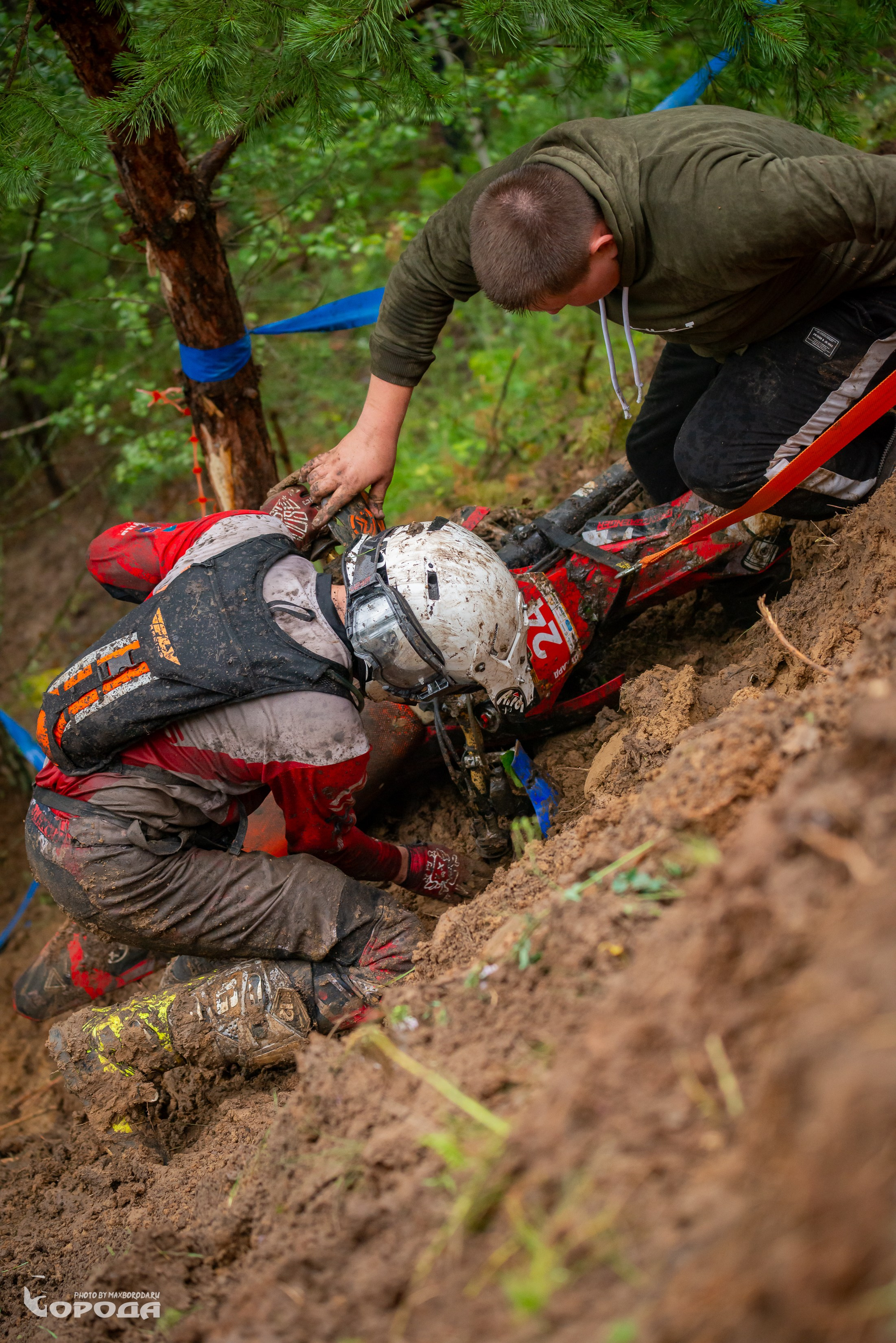 Дубрава 2025. Фотограф | Макс Борода