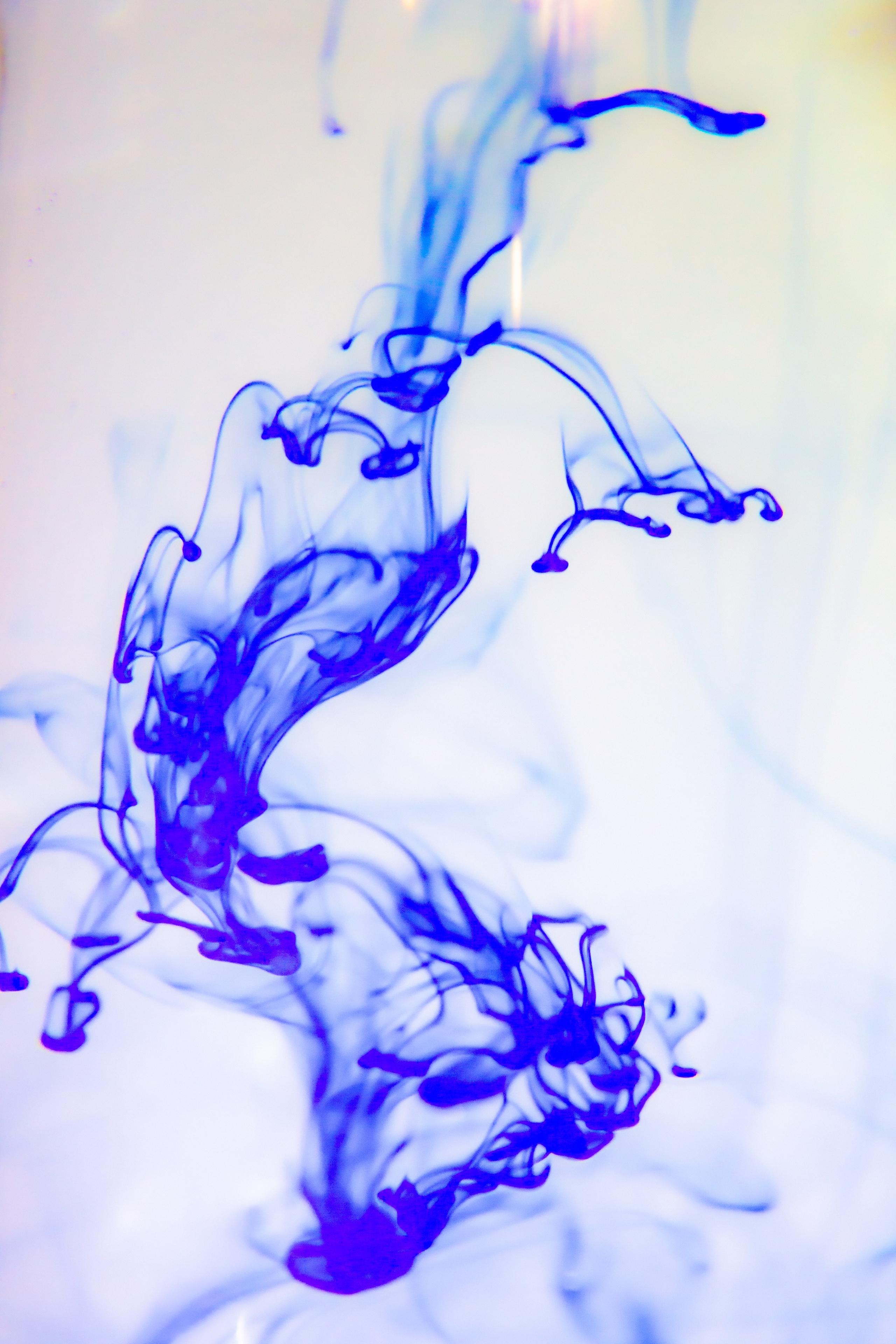 КАПЛЯ И ОКЕАН. АННА ВЕРСО / ANNA VERSO | Визуальный художник / Visual artist