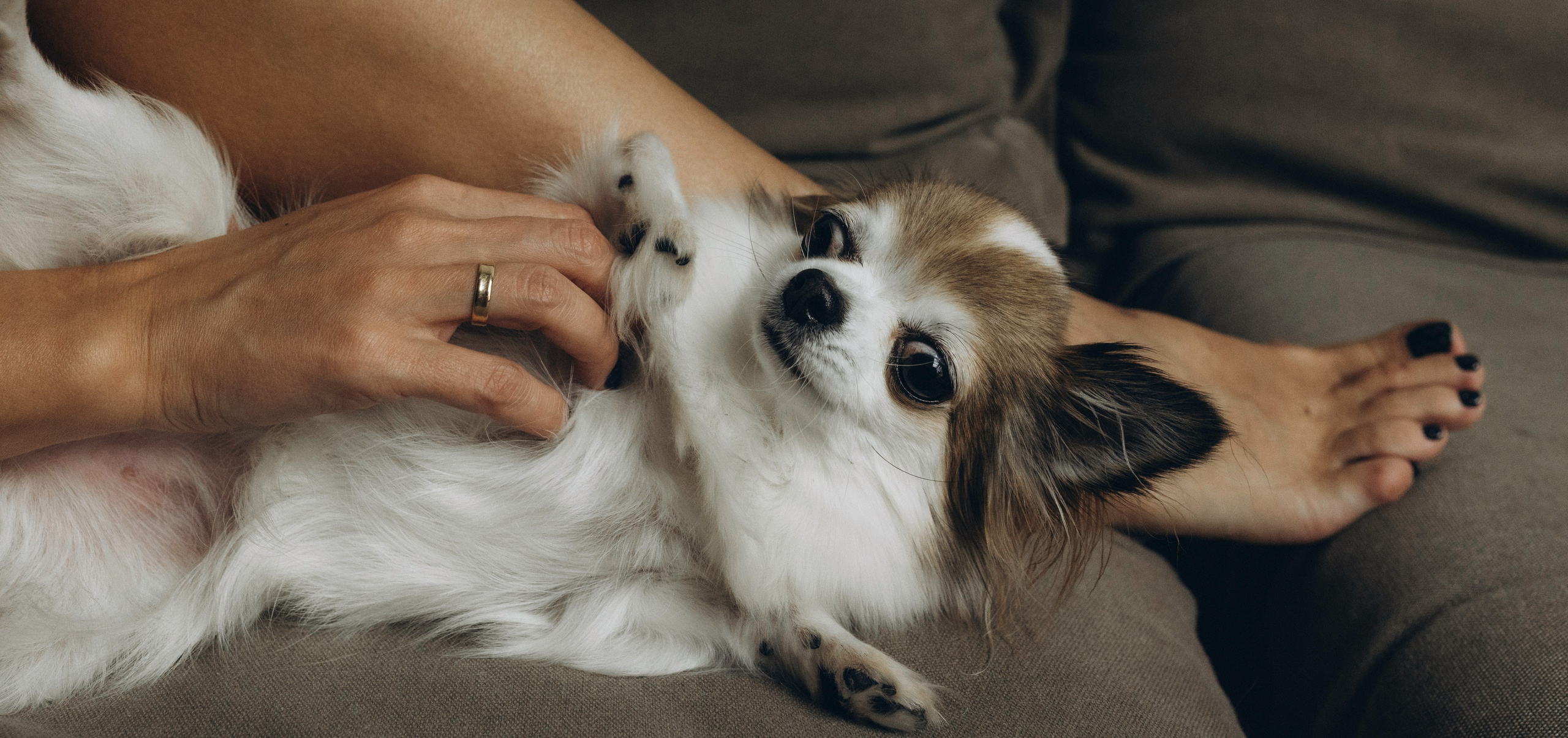 Габриела и ее хвостики. Татьяна Афонина | Фотограф