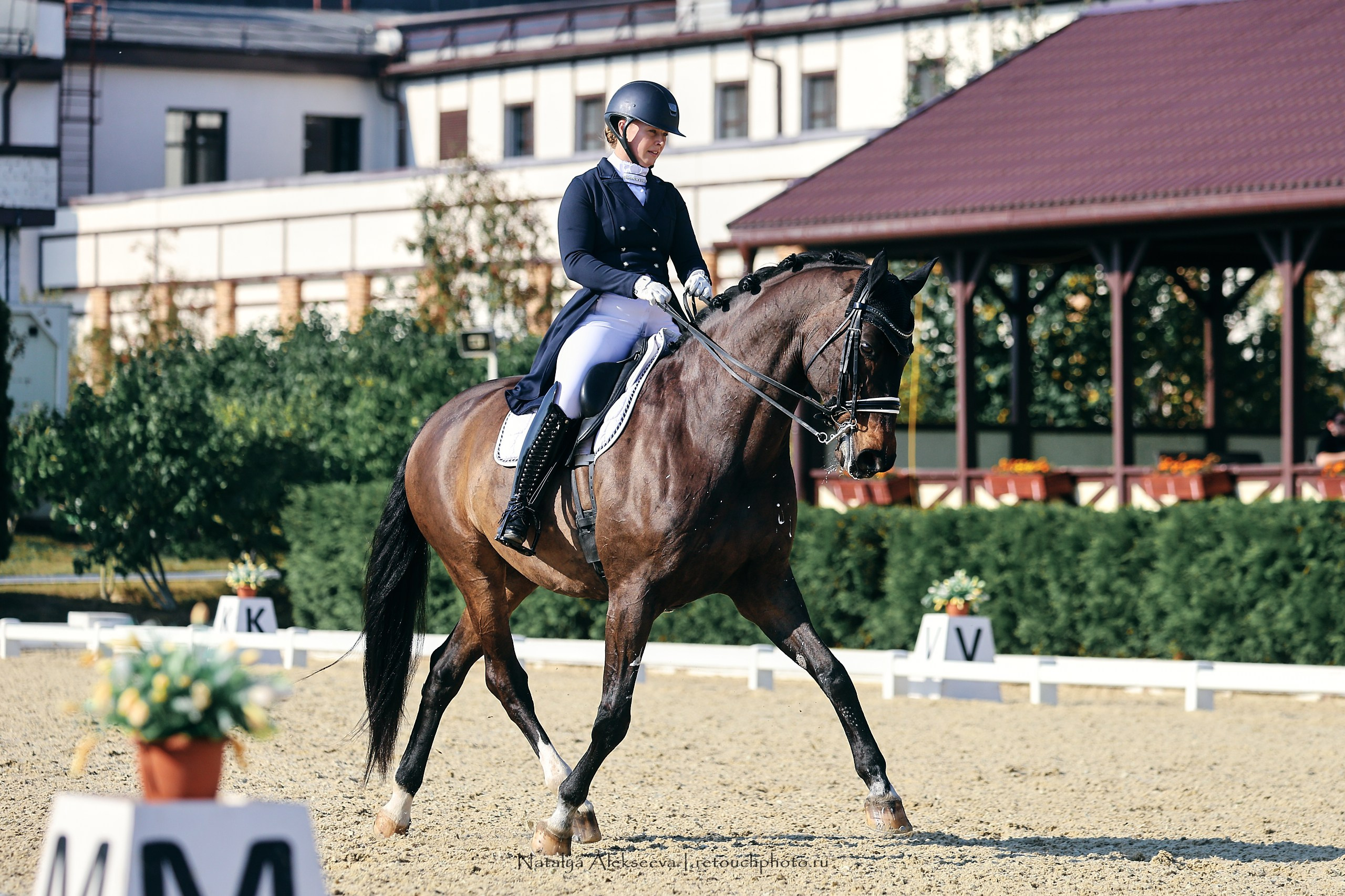 2023.09.22-24 Чемпионат MM Eurasia по средним ездам, Maxima Stables | 09'2023. Репортажный фотограф и ретушер в Москве Наталья Алексеева