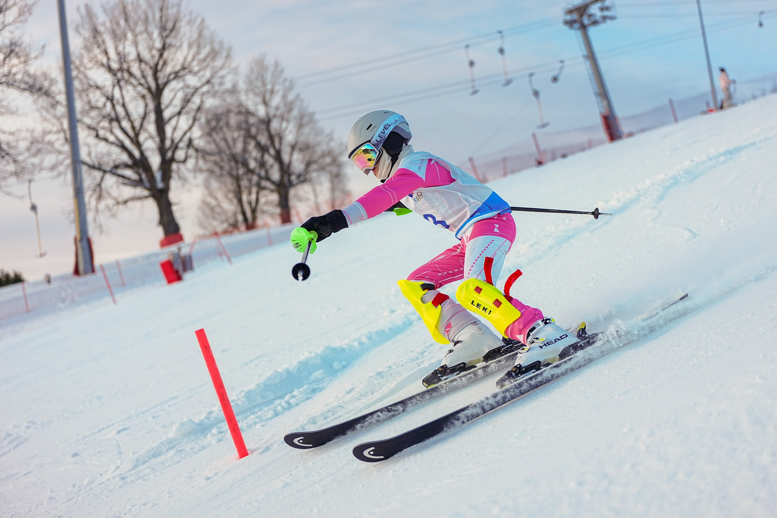 Первенство МУ ДО СШ «Шуколово» по горнолыжному спорту «Памяти Н. Андреевой»